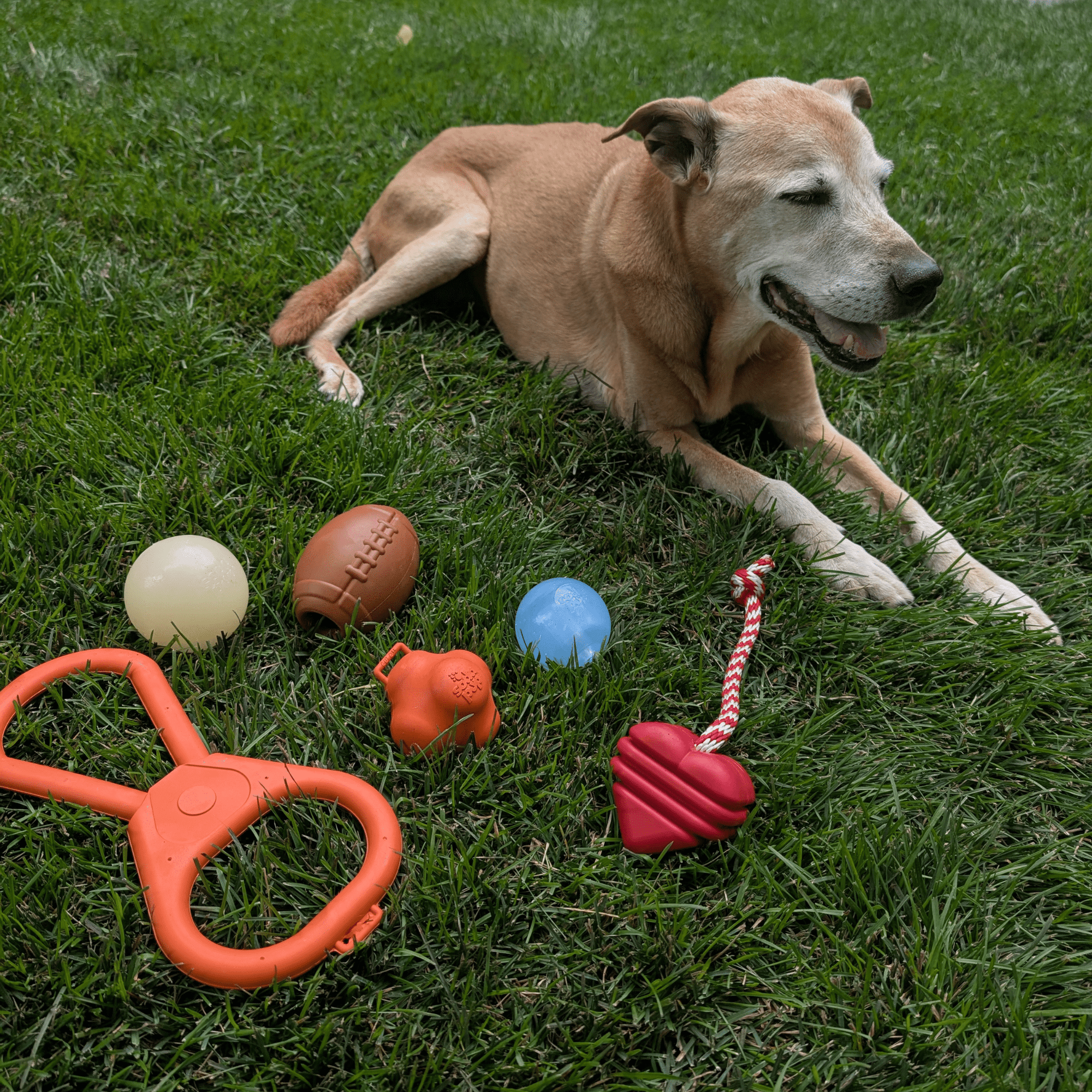 Farm To Pet Dog Fetch Balls