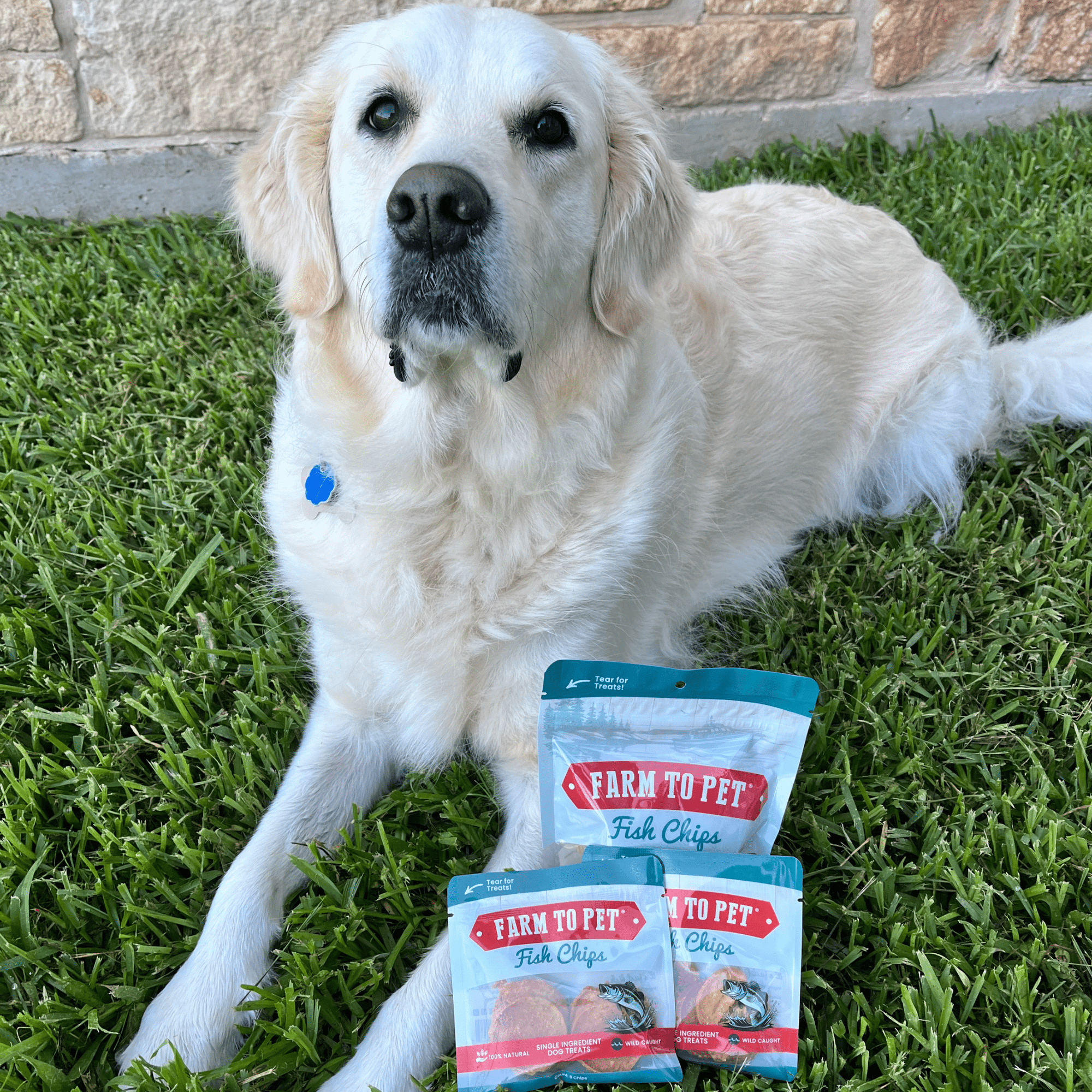 Farm To Pet Fish Chips Dog Treat Snack Pack