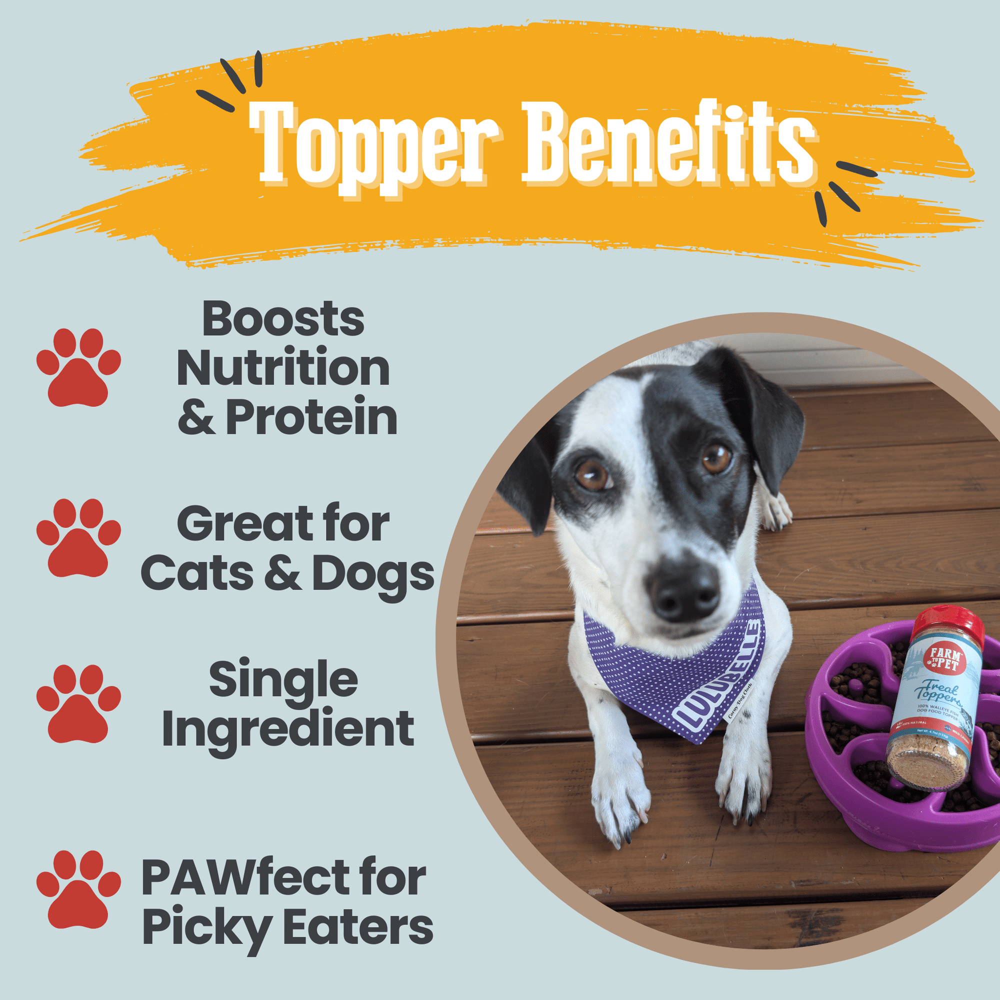 Farm To Pet Fish Treat Topper Dog Food Topper