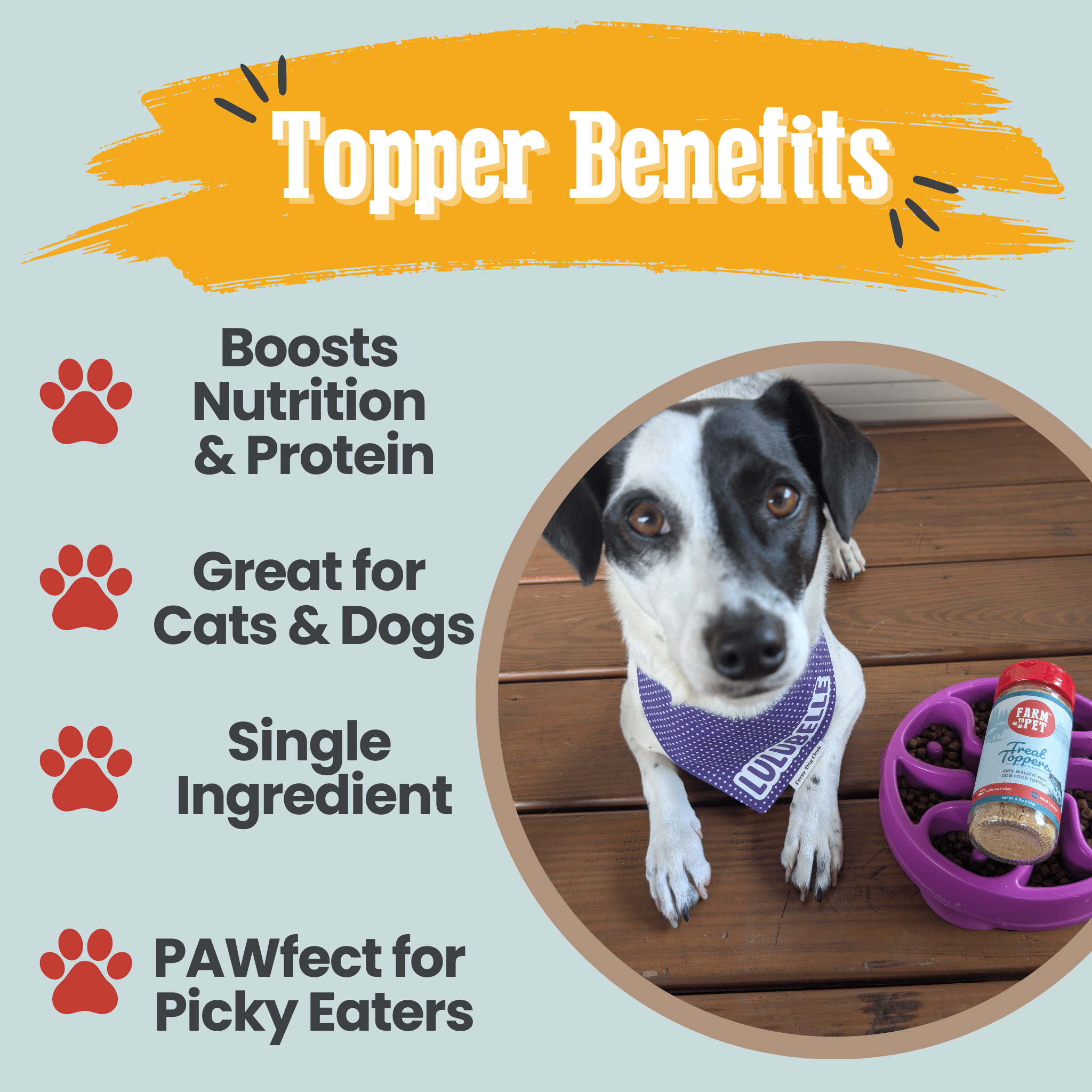 Farm To Pet Fish Treat Topper Dog Food Topper
