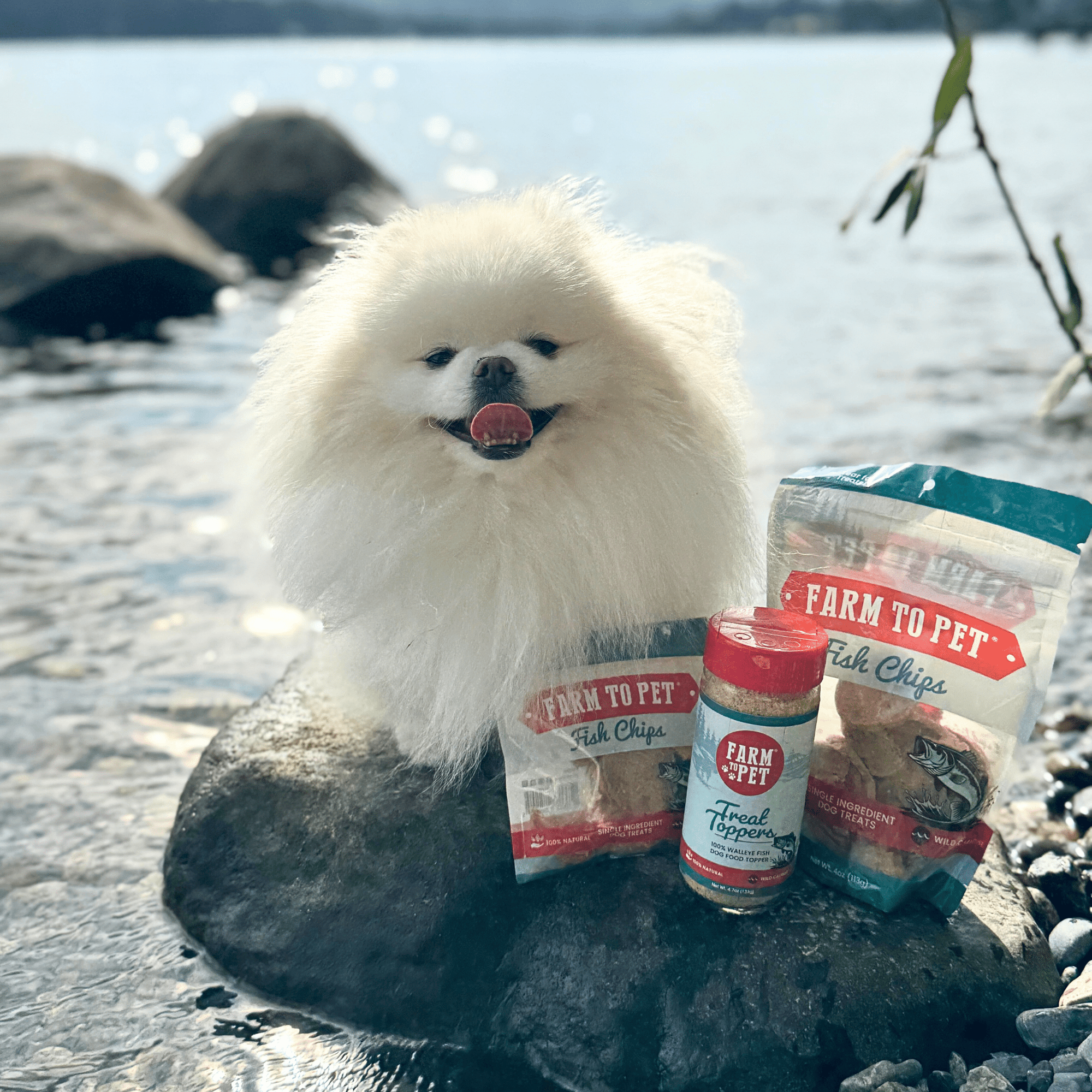 Farm To Pet Fish Treat Topper Dog Food Topper