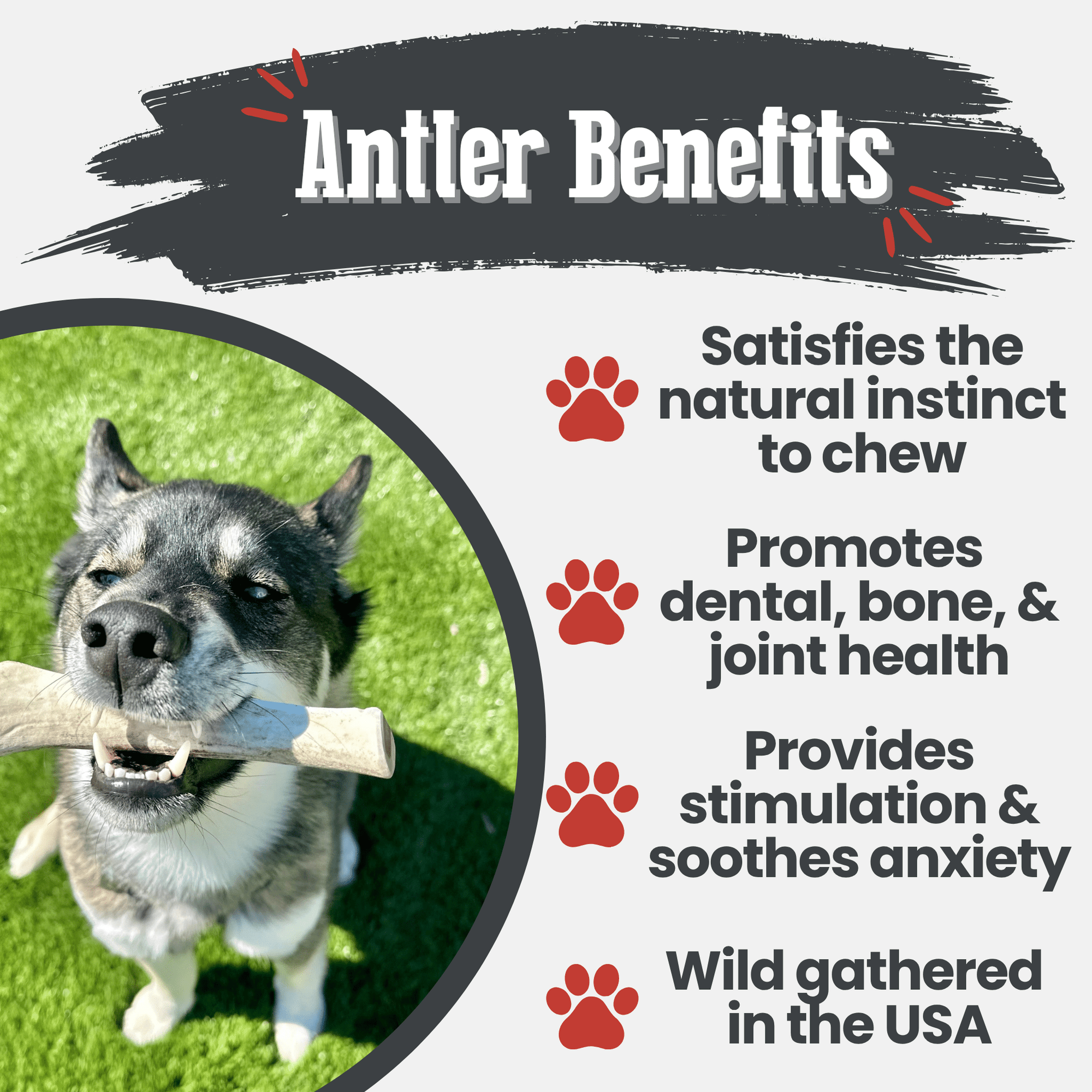 Farm To Pet Reindeer Antler Dog Chews
