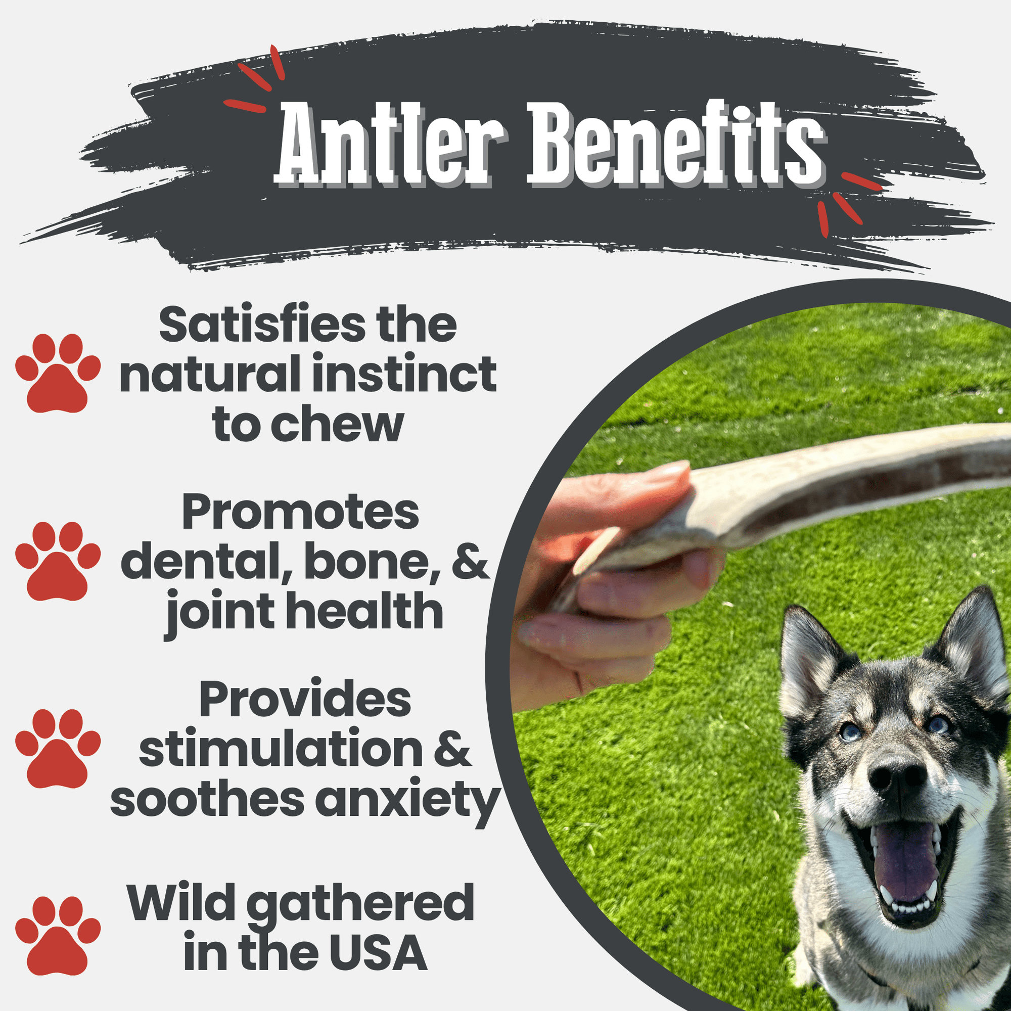 Farm To Pet Reindeer Antler Dog Chews