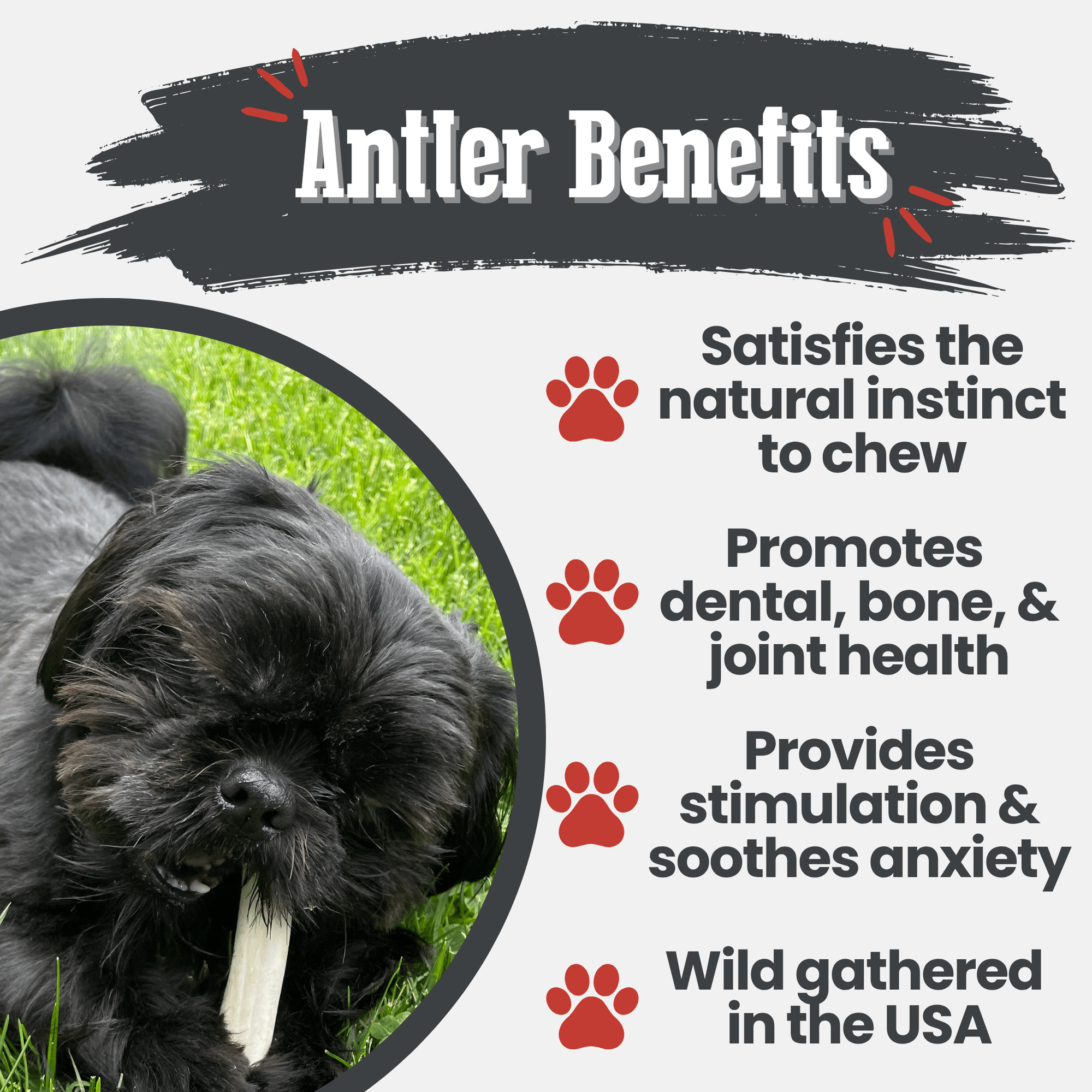 Farm To Pet Reindeer Antler Dog Chews