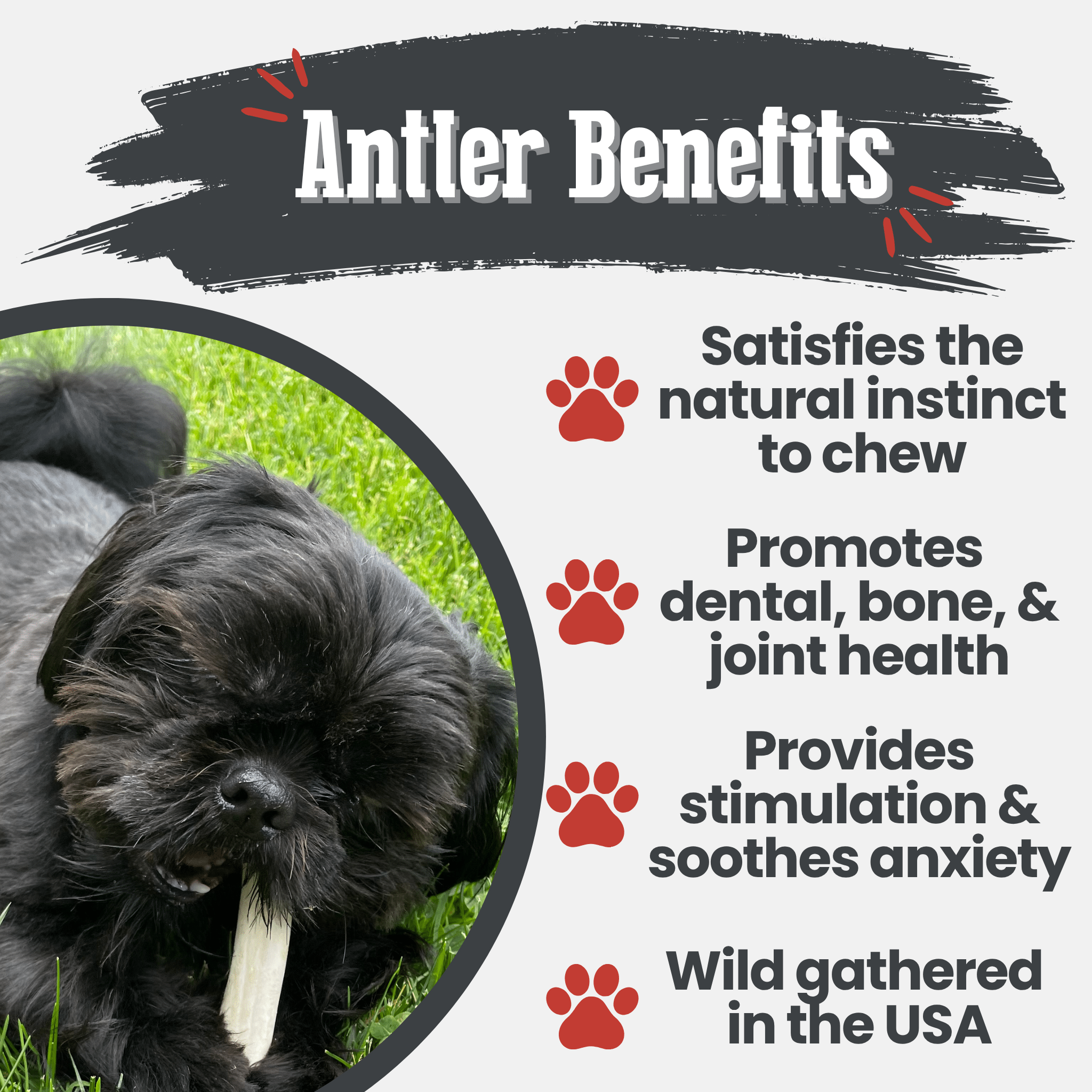 Farm To Pet Reindeer Antler Dog Chews
