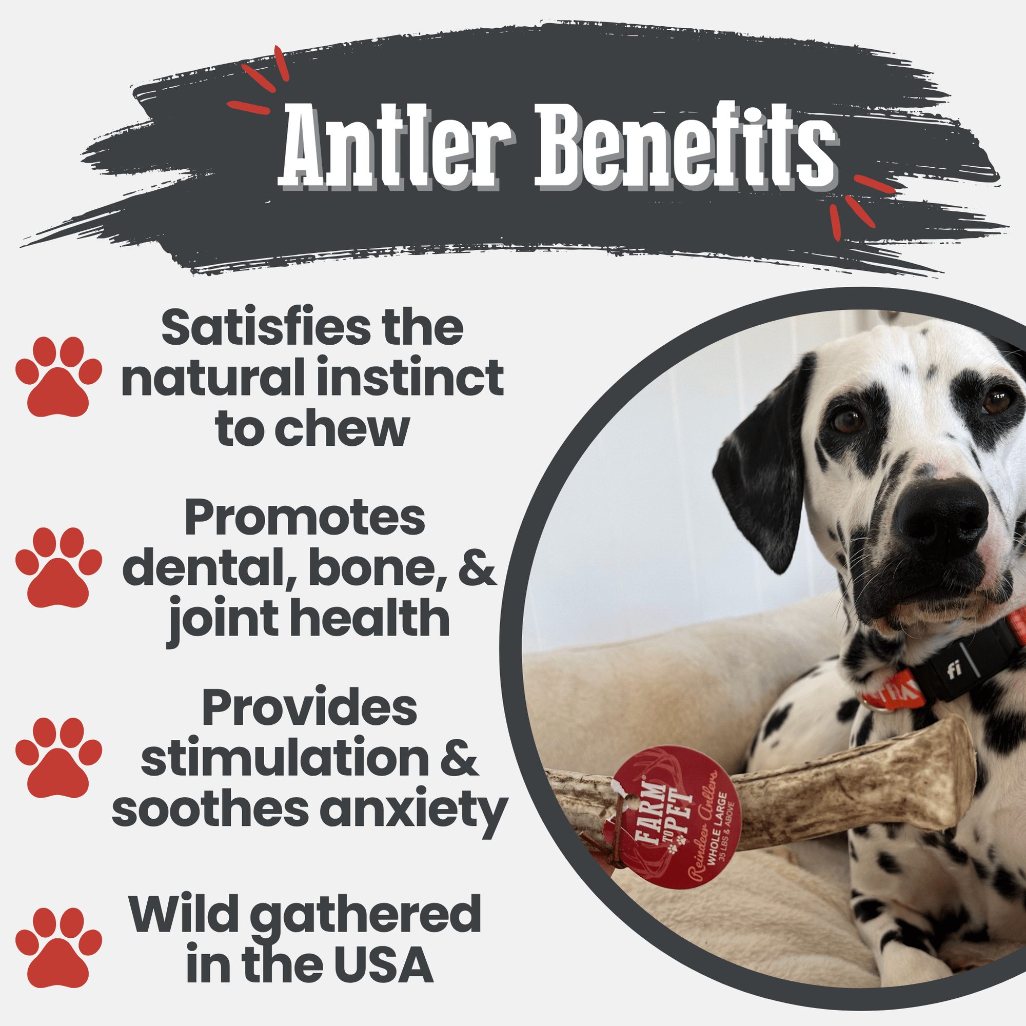 Farm To Pet Reindeer Antler Dog Chews