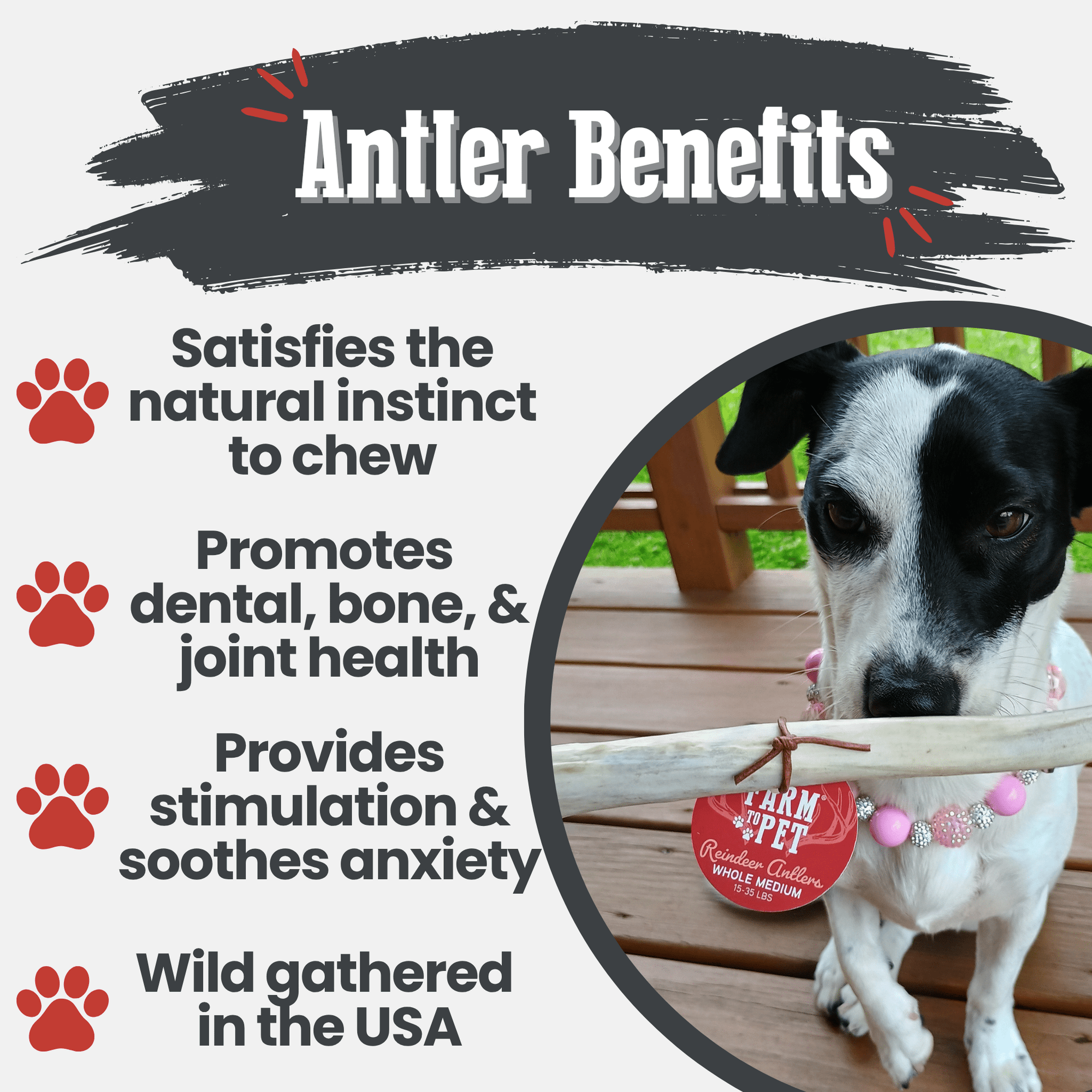 Farm To Pet Reindeer Antler Dog Chews