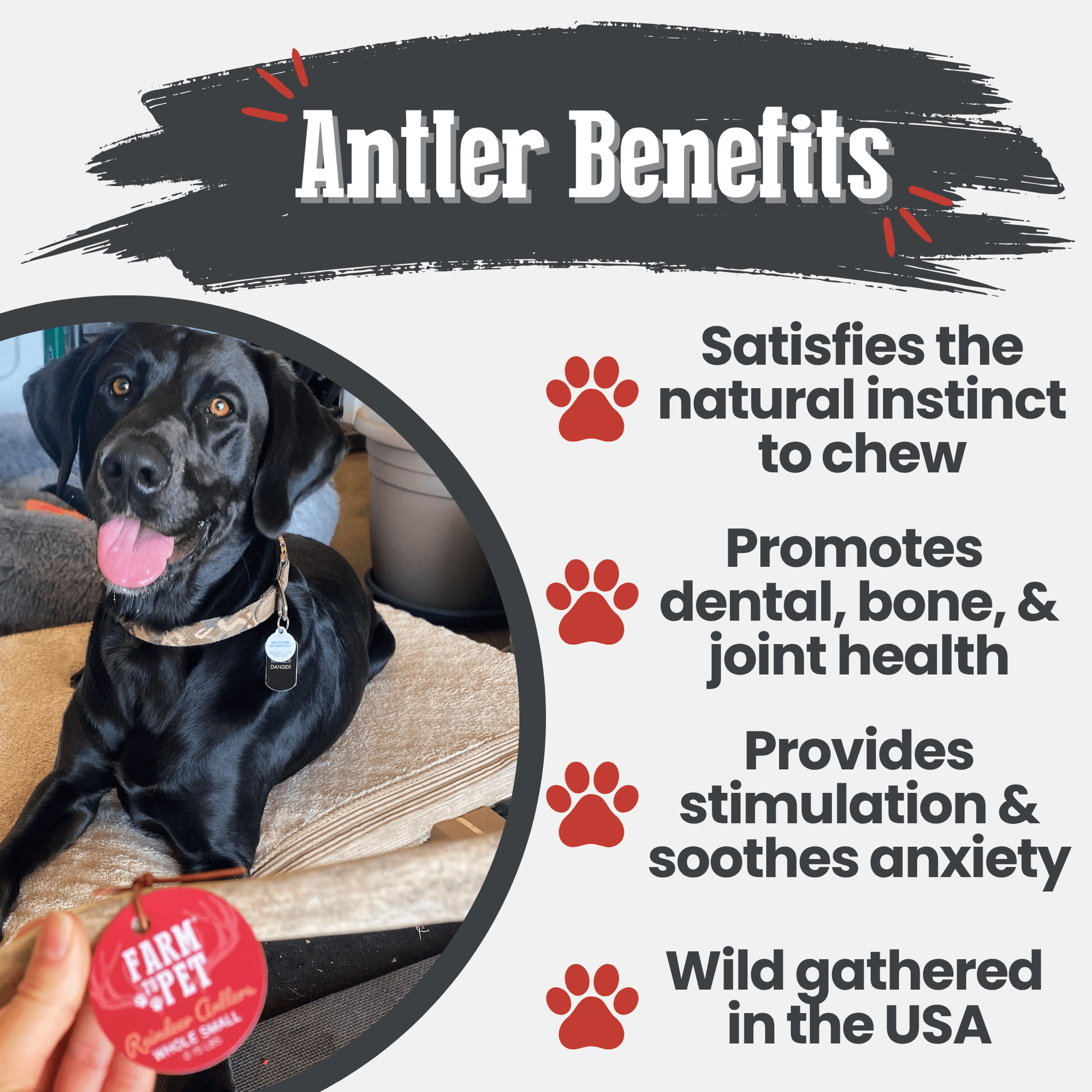 Farm To Pet Reindeer Antler Dog Chews