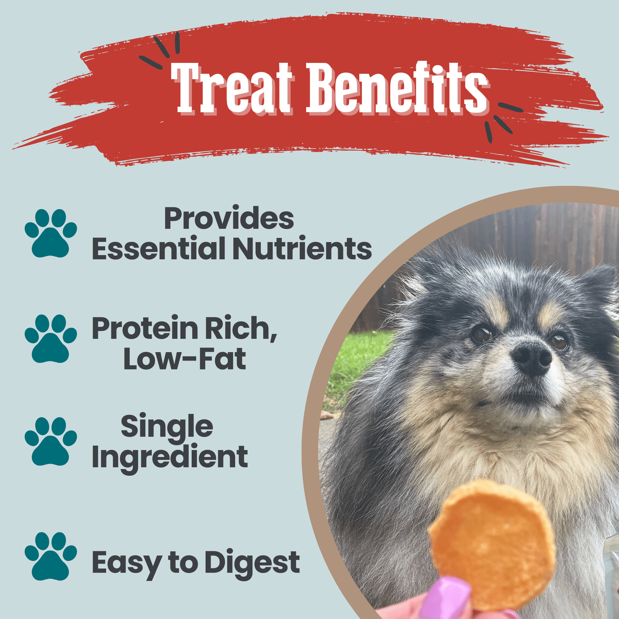 Farm To Pet Fish Chips Dog Treat Snack Pack