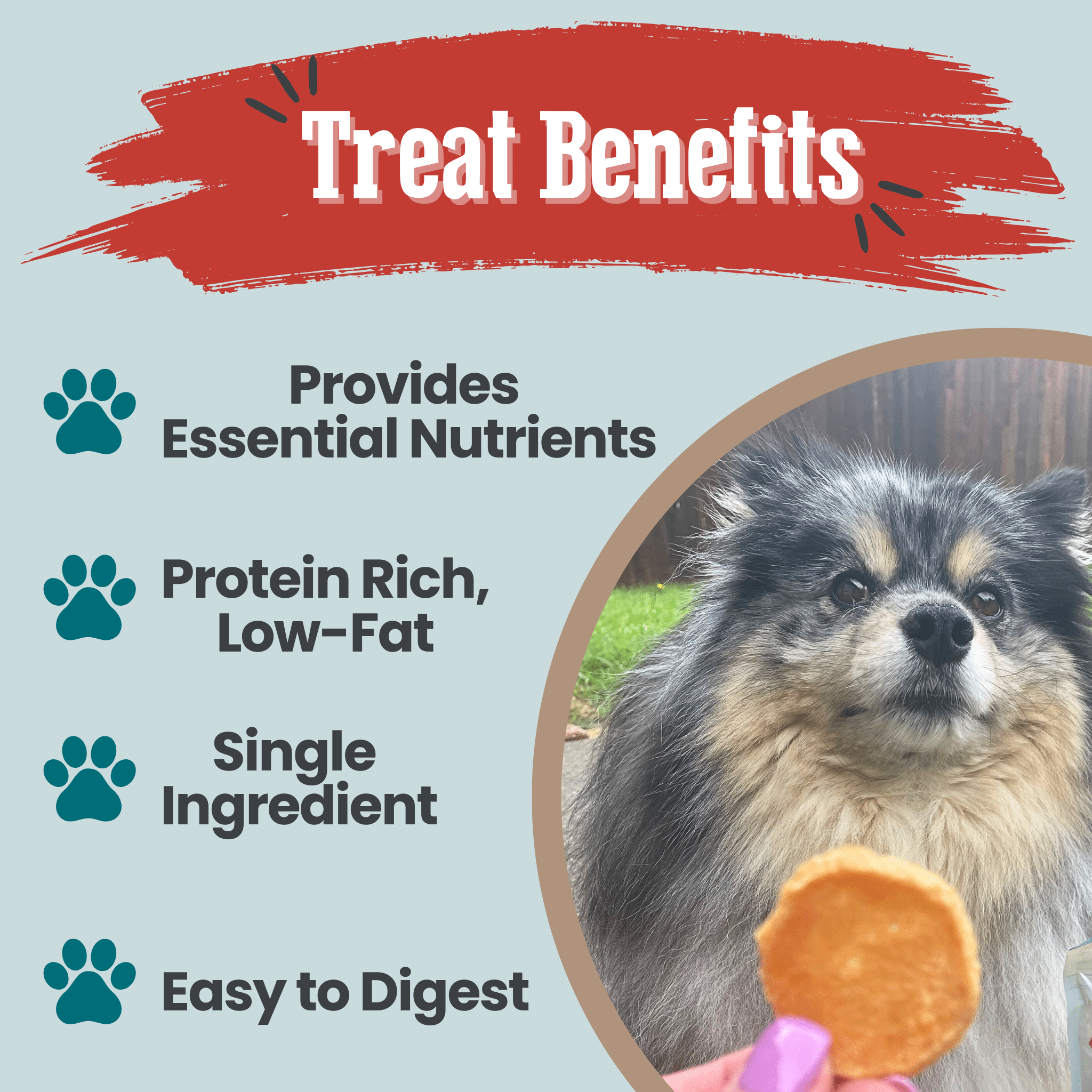Farm To Pet Fish Chips Dog Treat Snack Pack