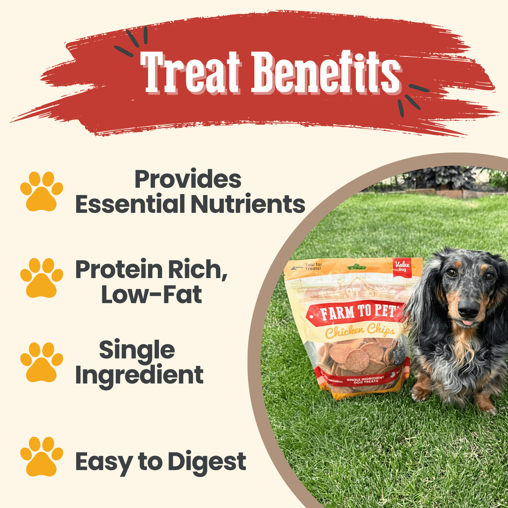 Farm To Pet Chicken Chips Dog Treats