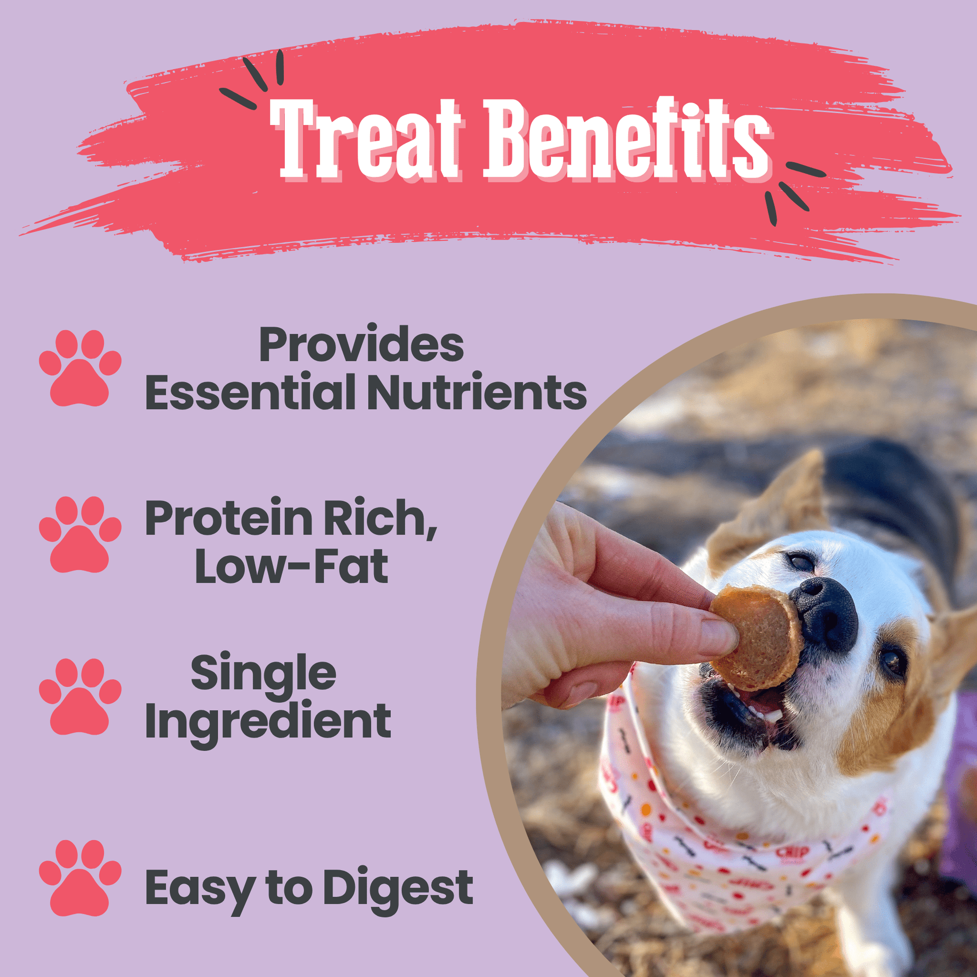 Farm To Pet Puppy Love Poultry Chip Dog Treat Duo
