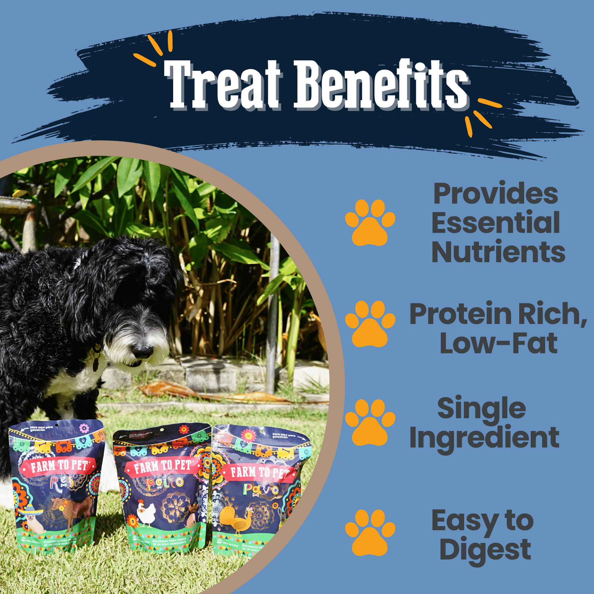 Farm To Pet Fiesta Pack Dog Treat Variety Bundle