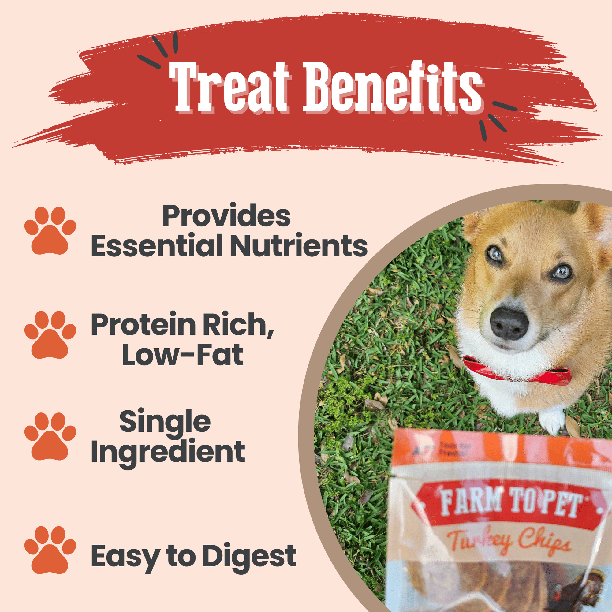 Farm To Pet Turkey Chips Dog Treat Snack Pack