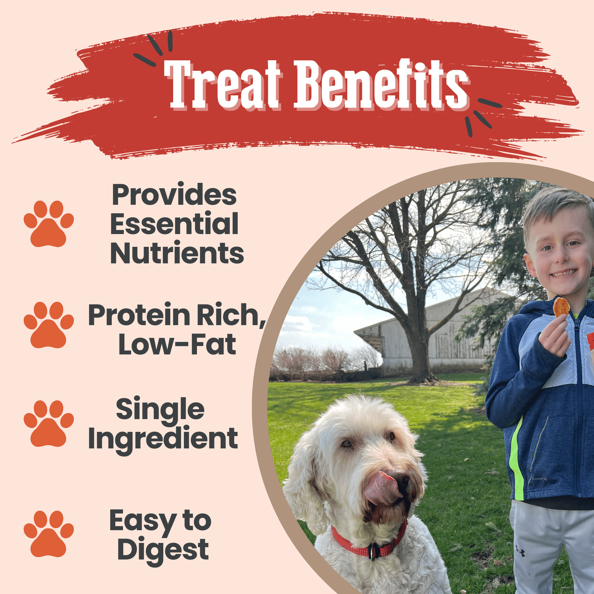 Farm To Pet Turkey Chips Dog Treats
