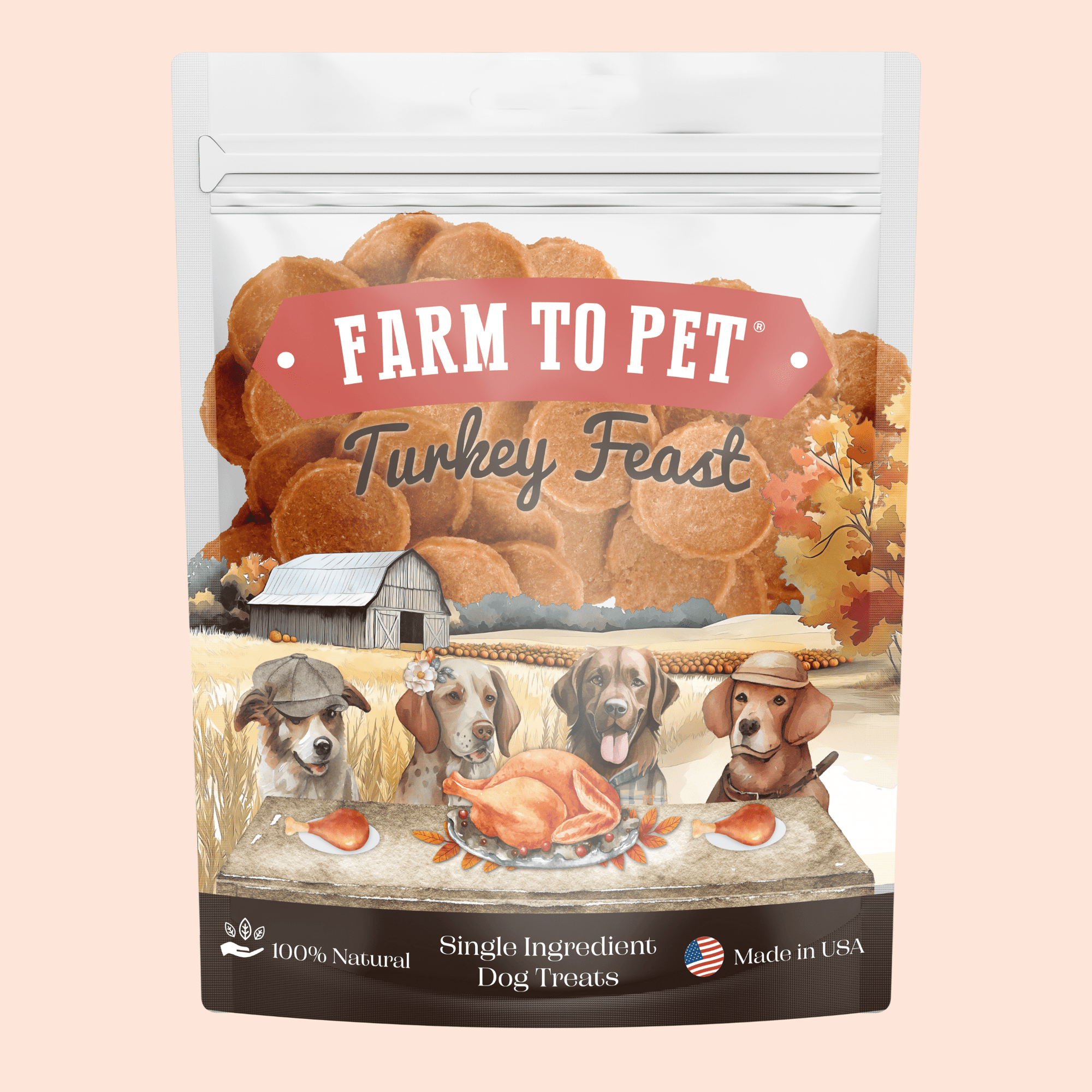 Farm To Pet Turkey Feast Chips Dog Treats