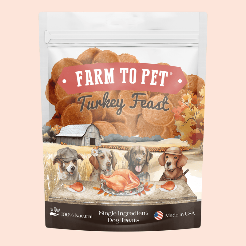Farm To Pet Turkey Feast Chips Dog Treats