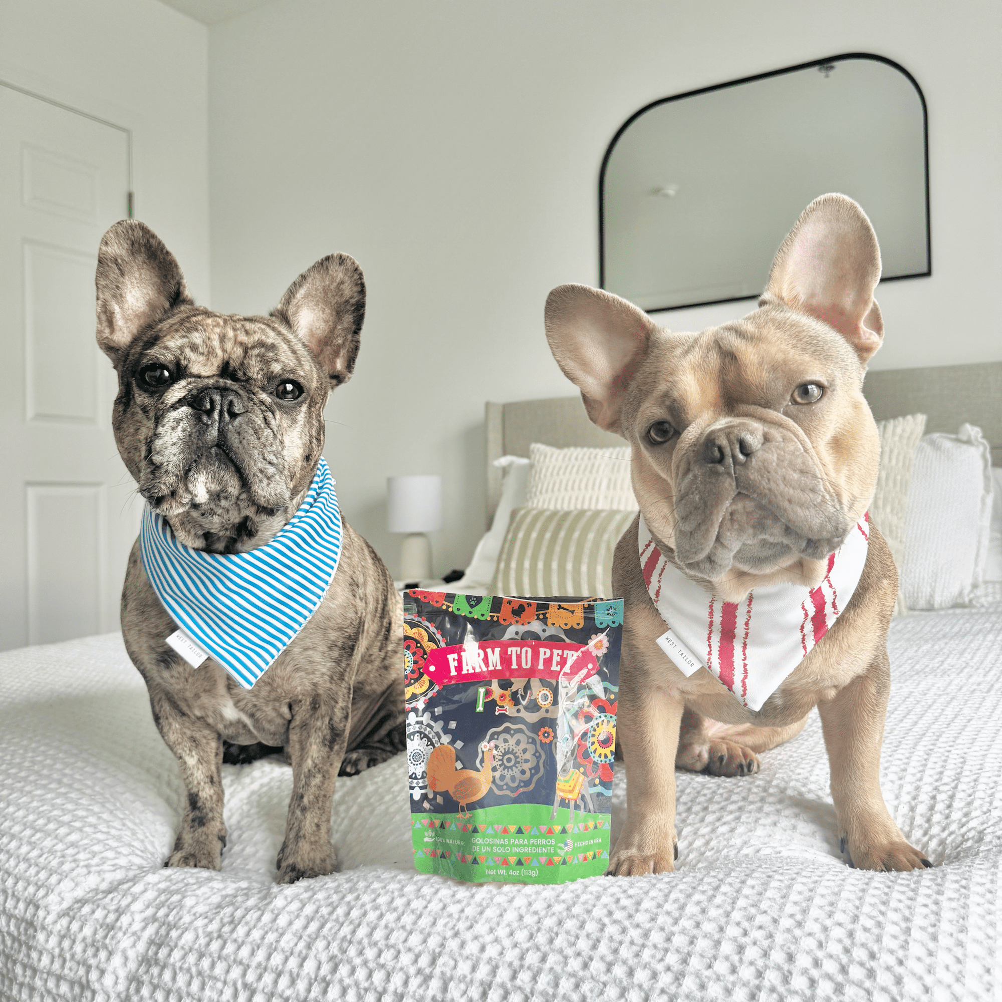 Farm To Pet Fiesta Pack Dog Treat Variety Bundle