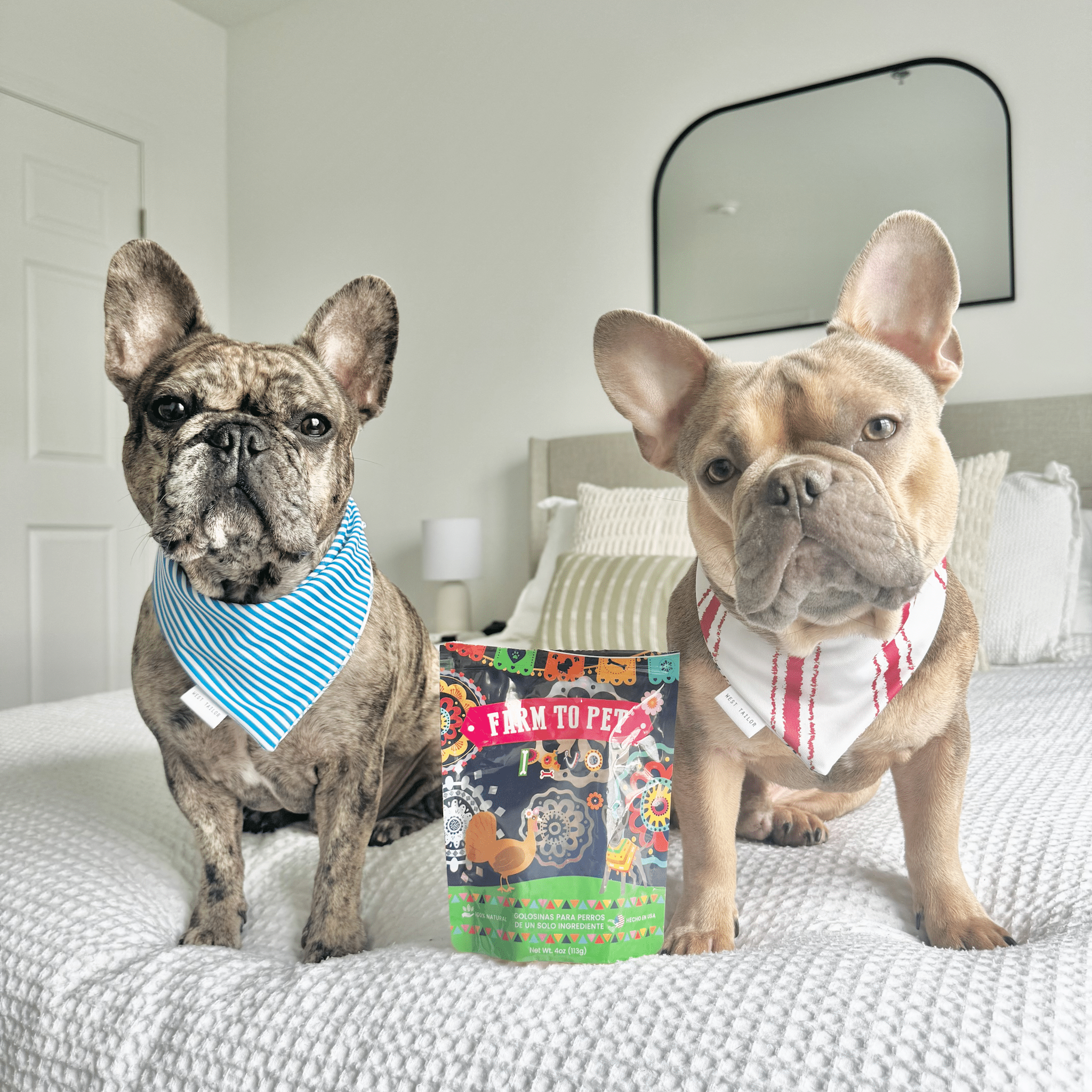Farm To Pet Fiesta Pack Dog Treat Variety Bundle