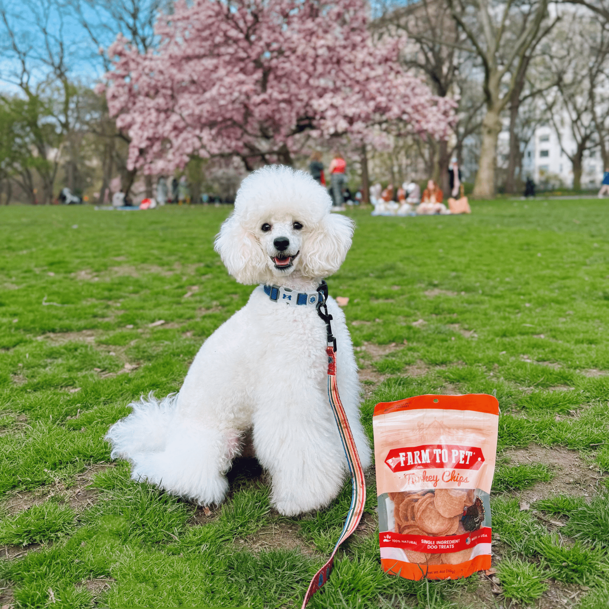 Farm To Pet Turkey Chips Dog Treats