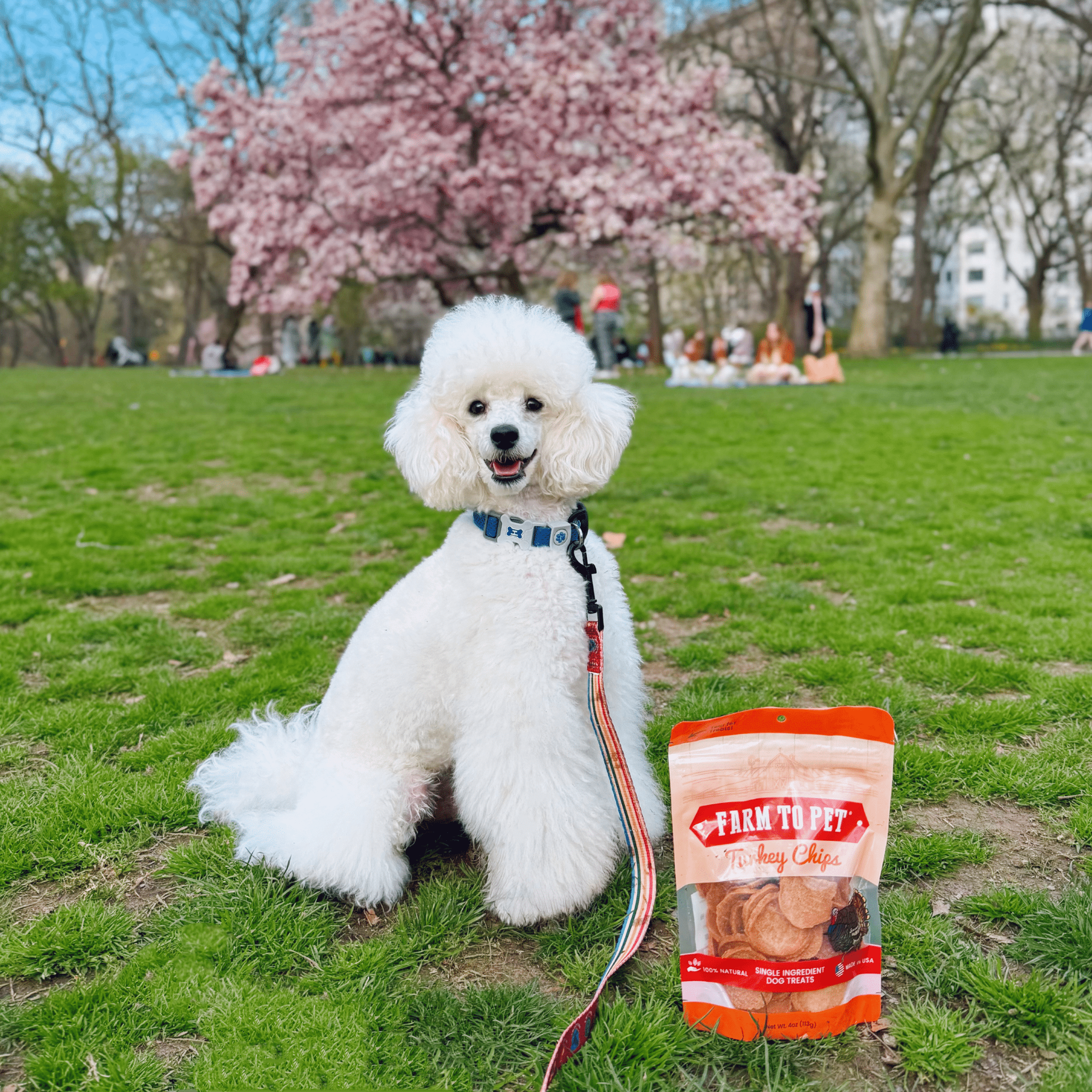 Farm To Pet Turkey Chips Dog Treats