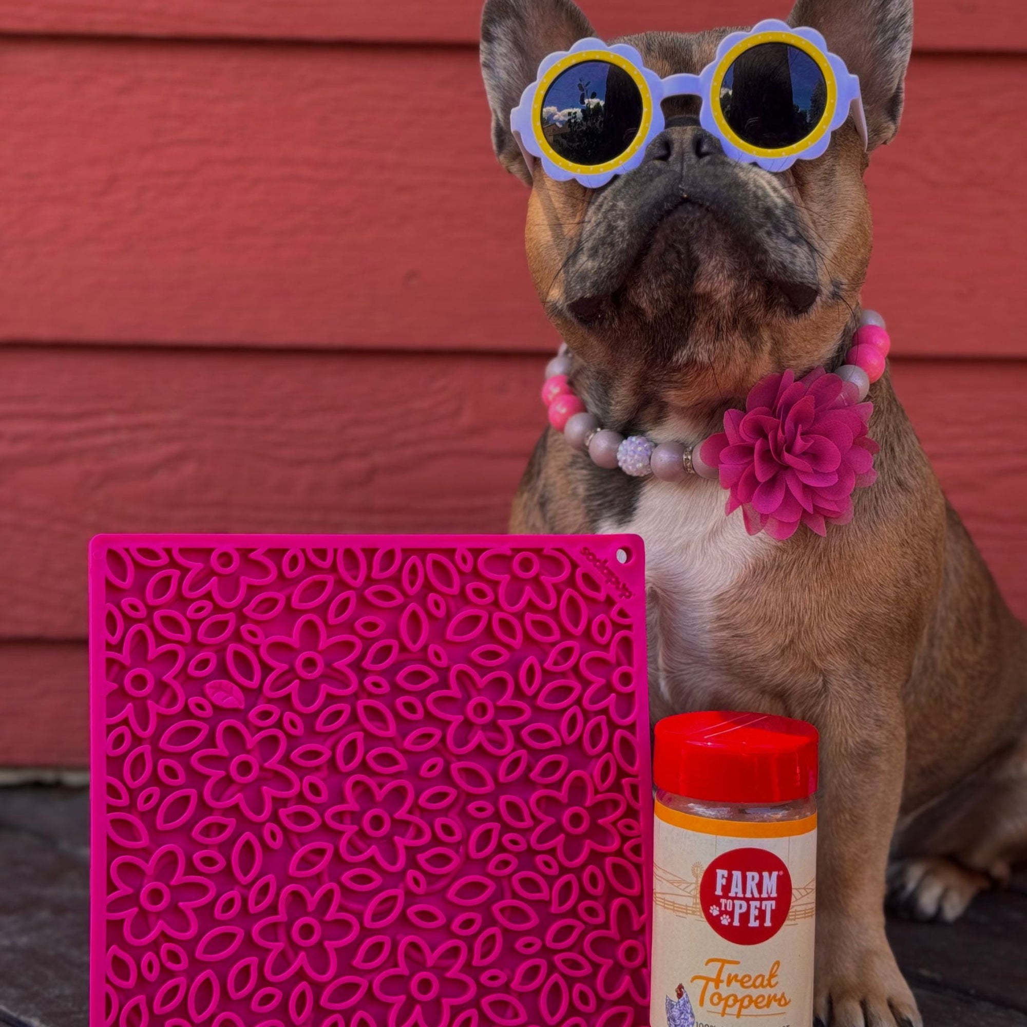 Farm To Pet Dog Lick Mats