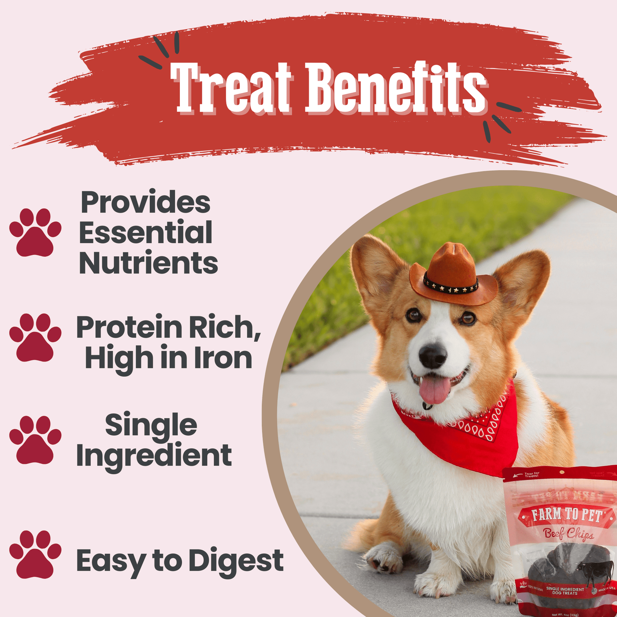 Farm To Pet Beef Chips Dog Treats