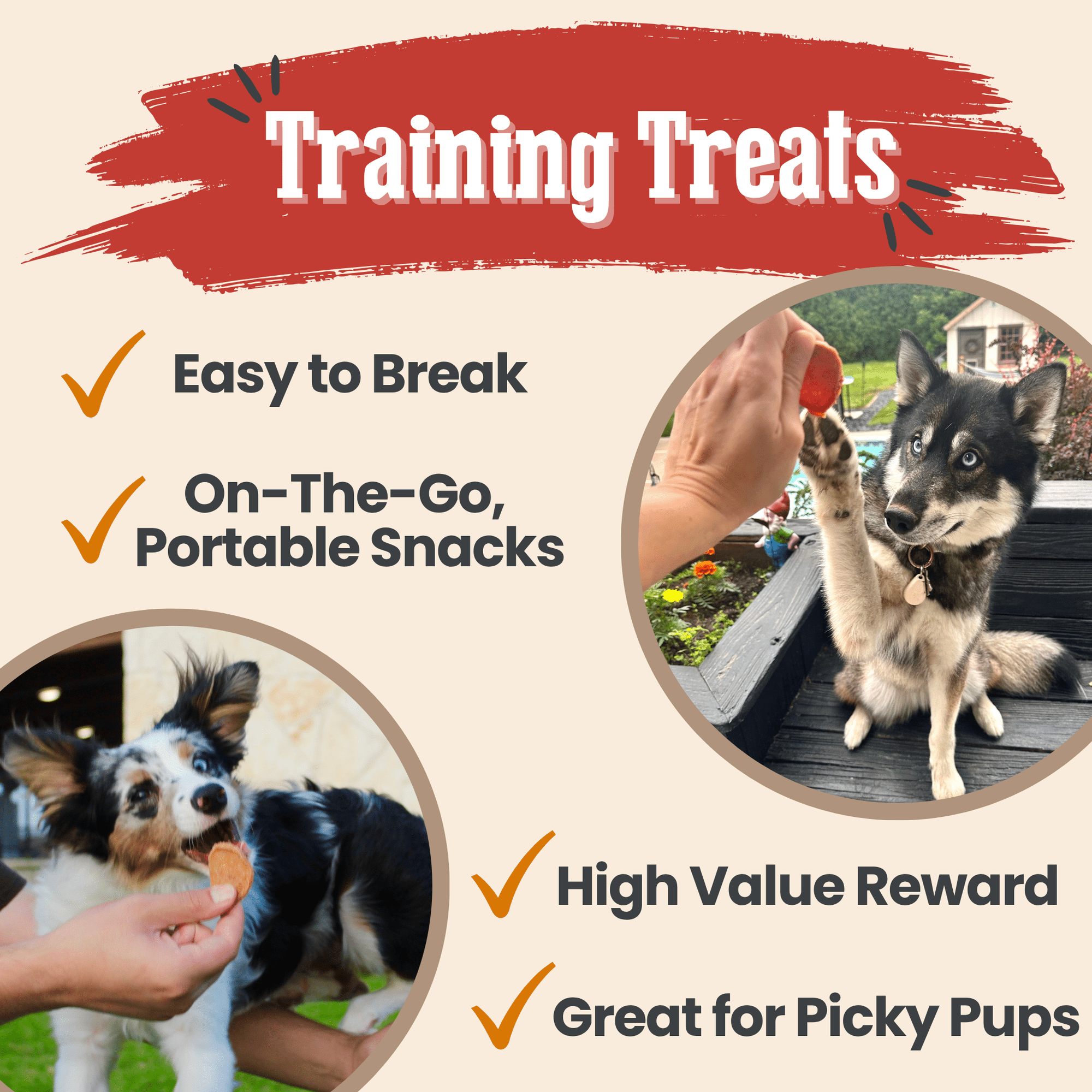 Farm To Pet Turkey and Chicken Chip Dog Treat Duo