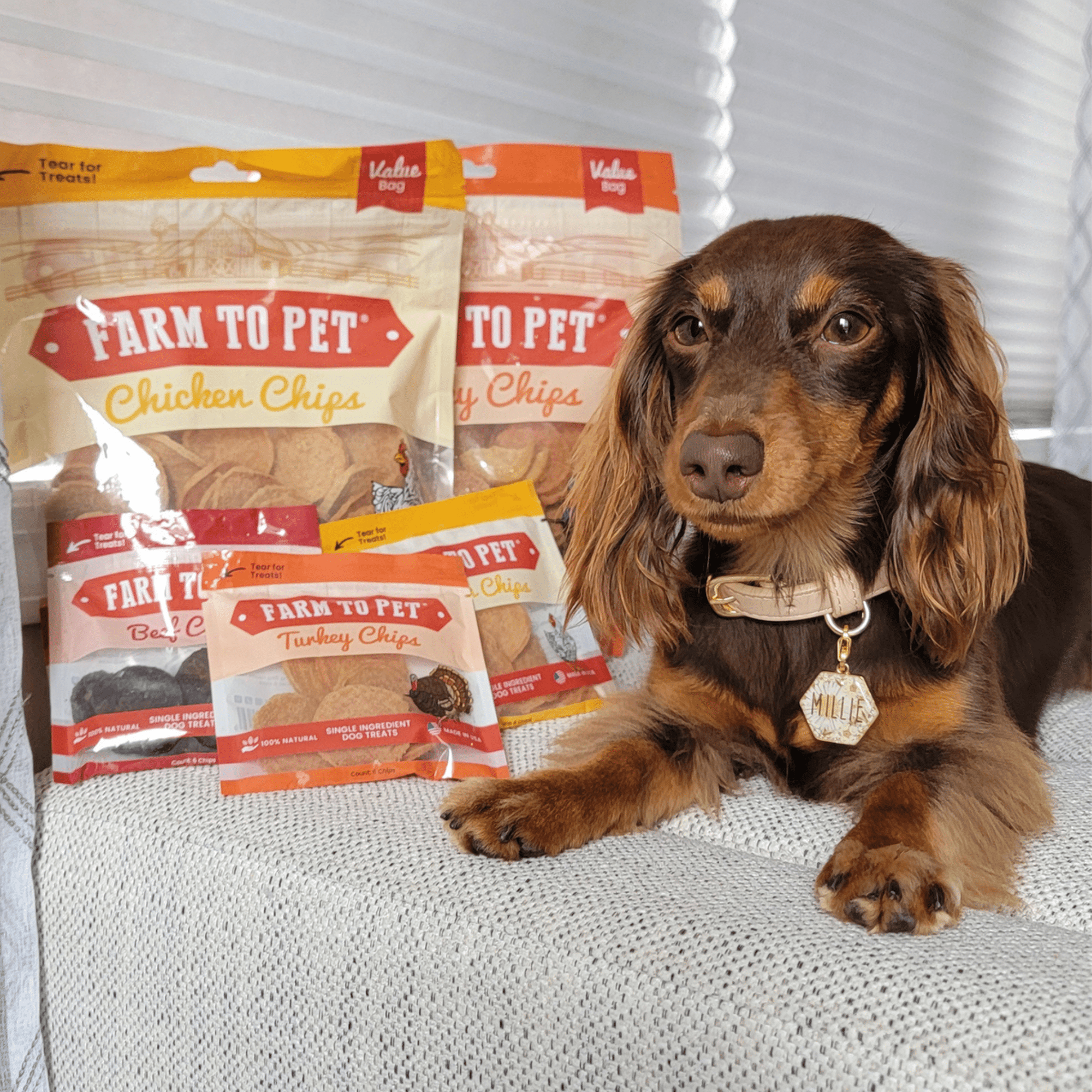 Farm To Pet Turkey and Chicken Chip Dog Treat Duo