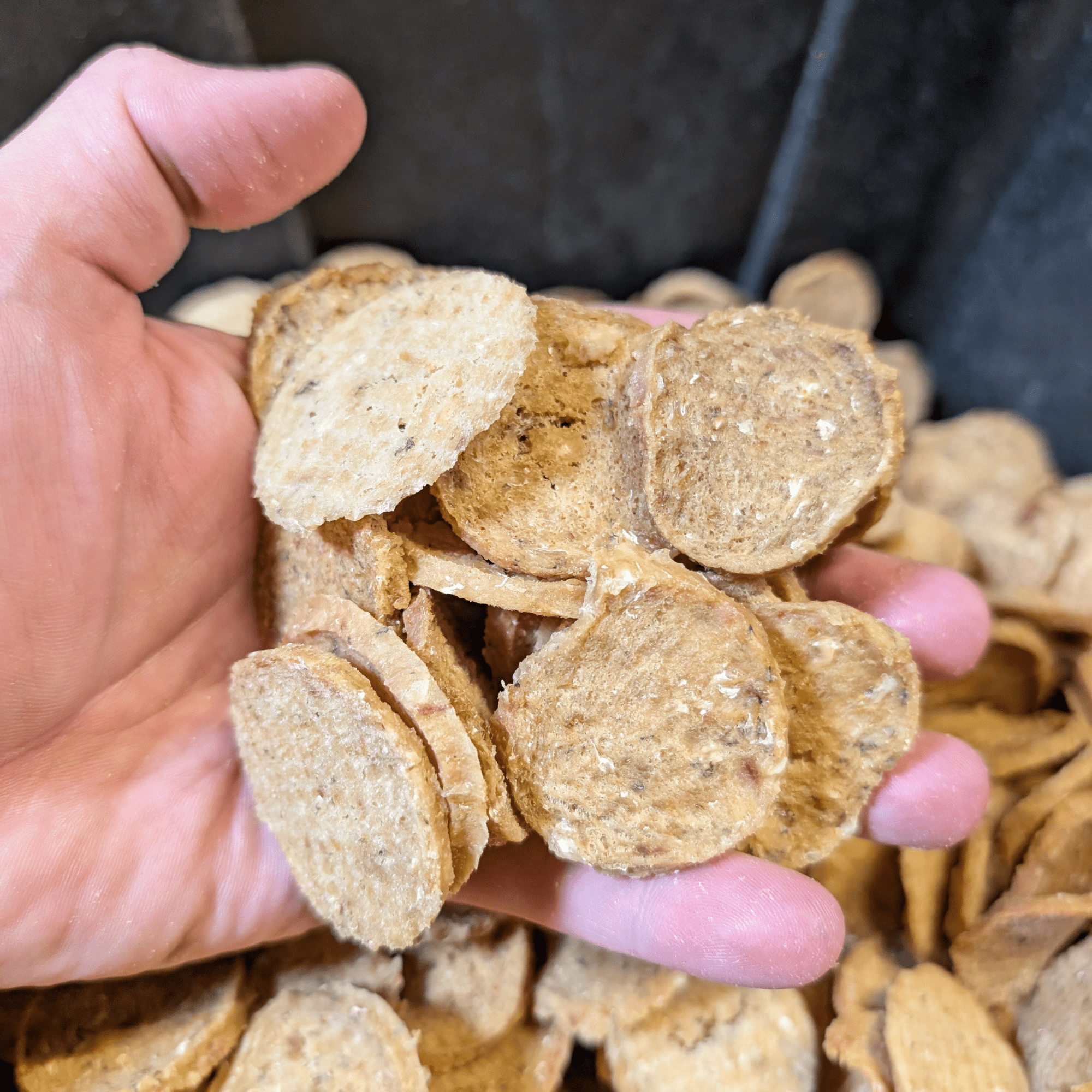 Farm To Pet Fish Chips Dog Treats