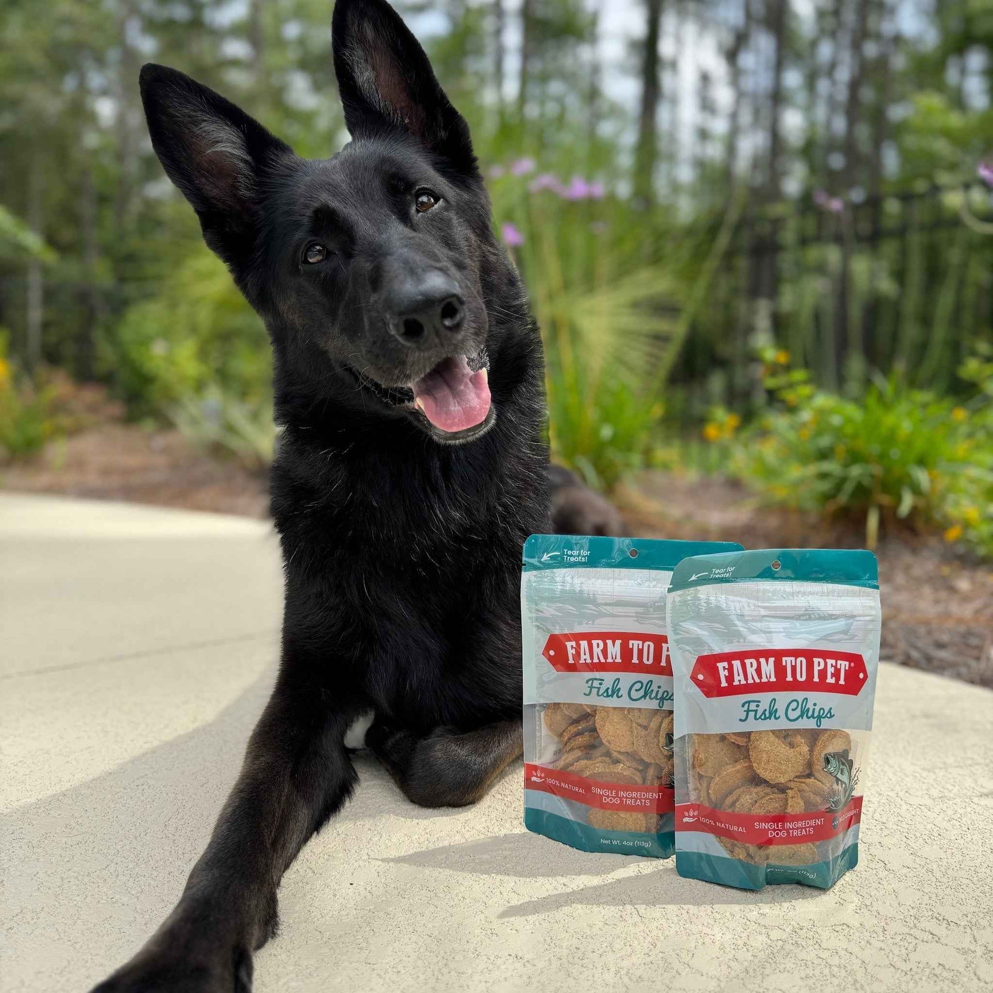 Farm To Pet Fish Chips Dog Treats