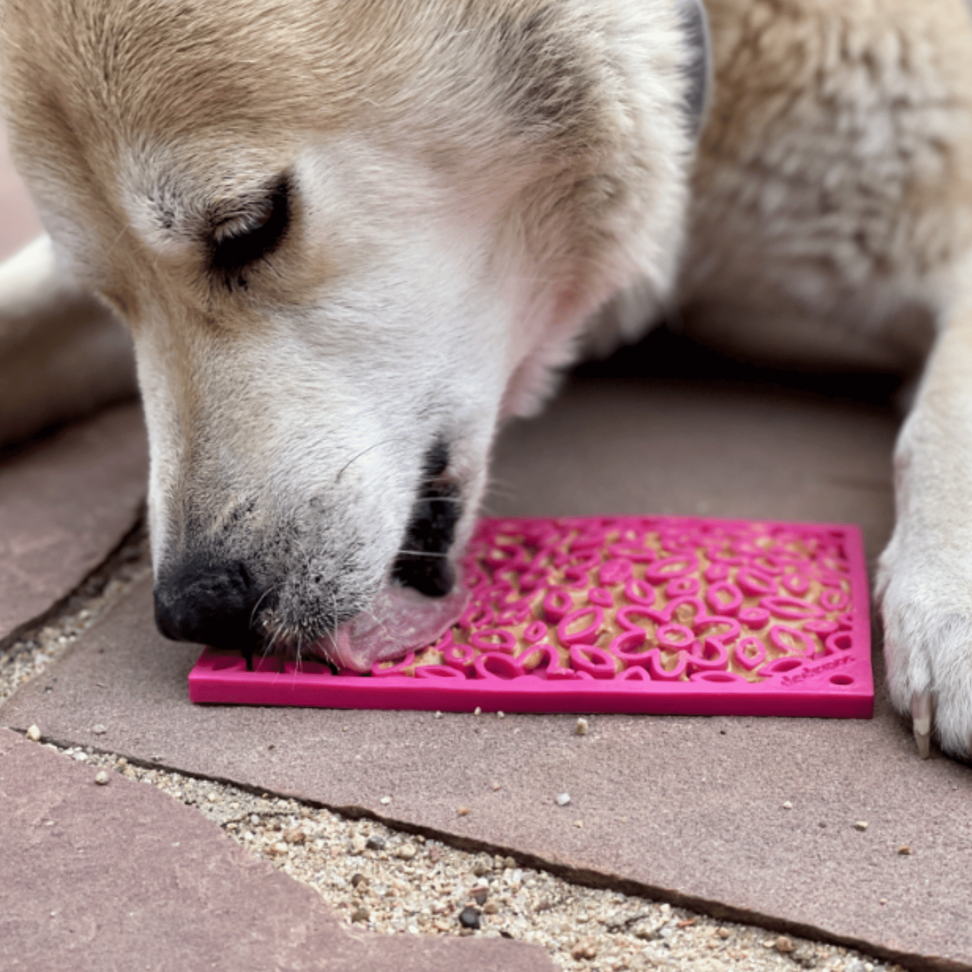 Farm To Pet Lick Mats for Cats and Small Dogs