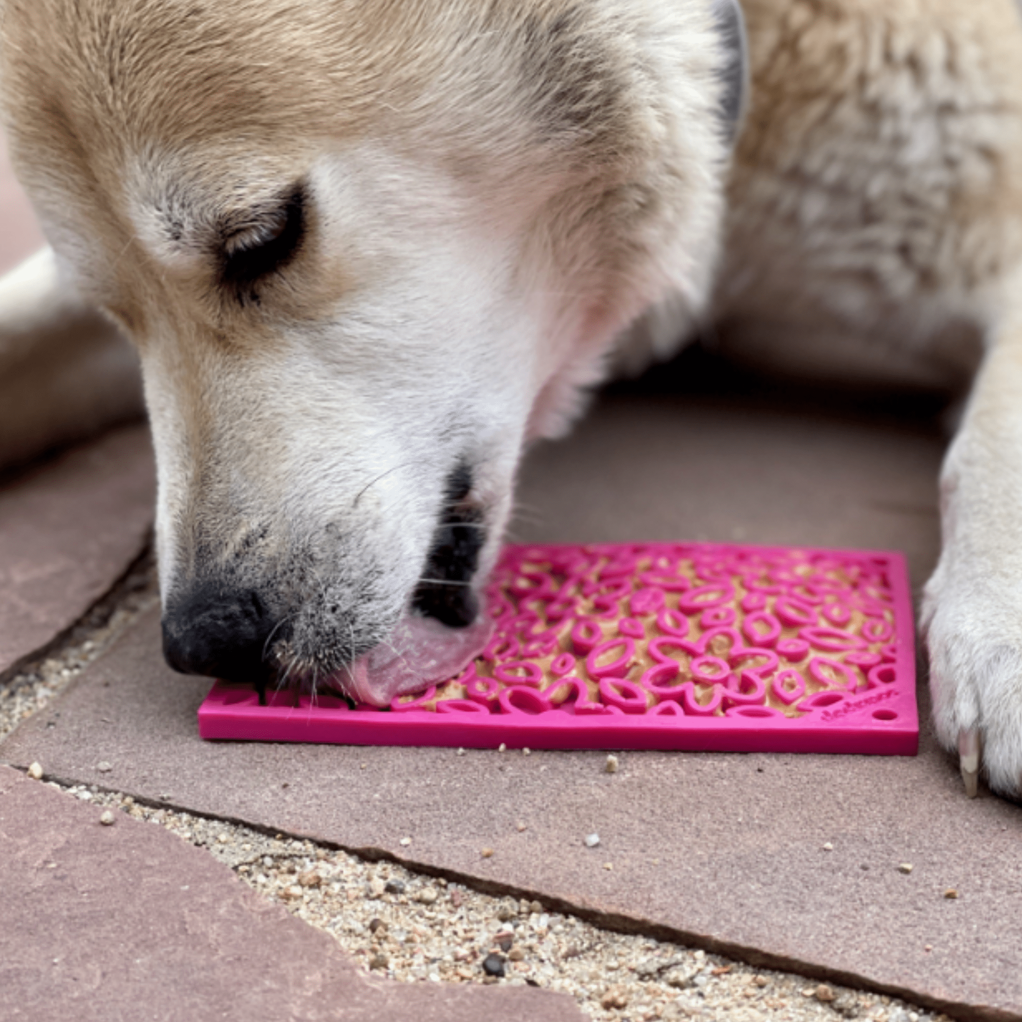 Farm To Pet Lick Mats for Cats and Small Dogs