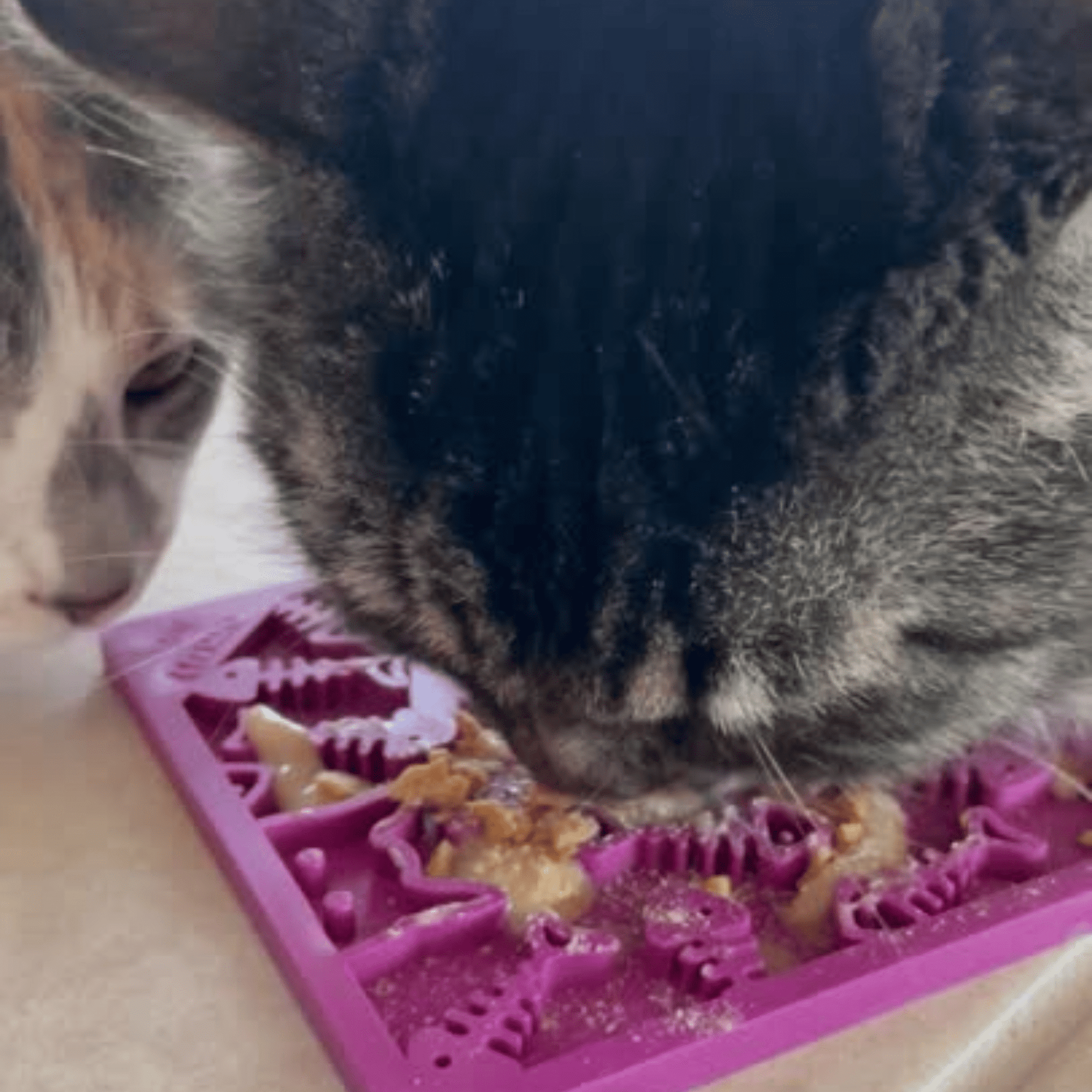 Farm To Pet Lick Mats for Cats and Small Dogs