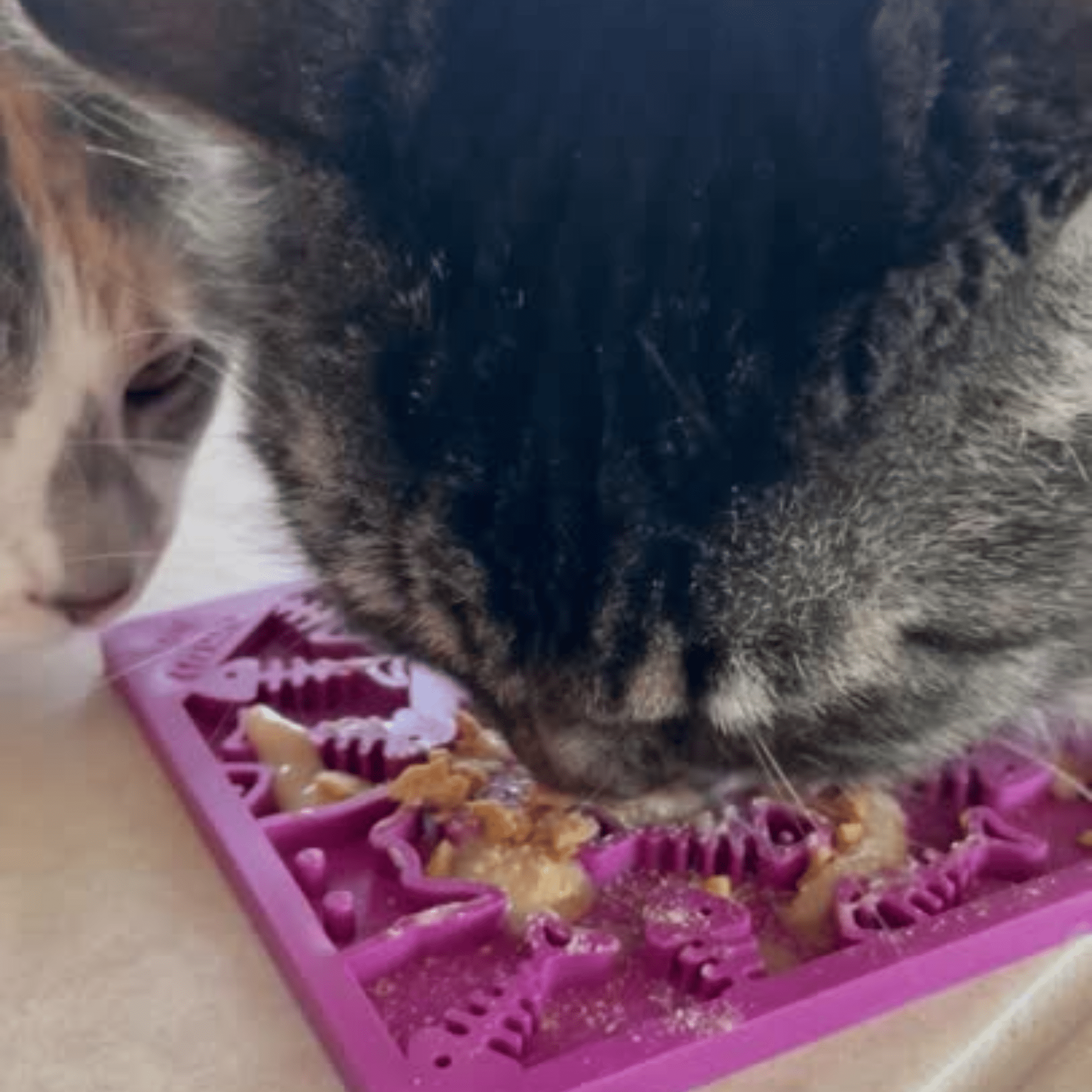 Farm To Pet Lick Mats for Cats and Small Dogs