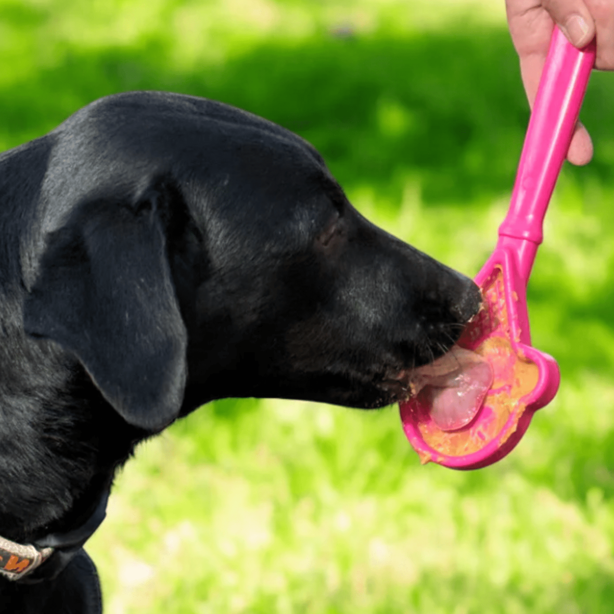 Farm To Pet Lick Sticks Interactive Dog Training Toy