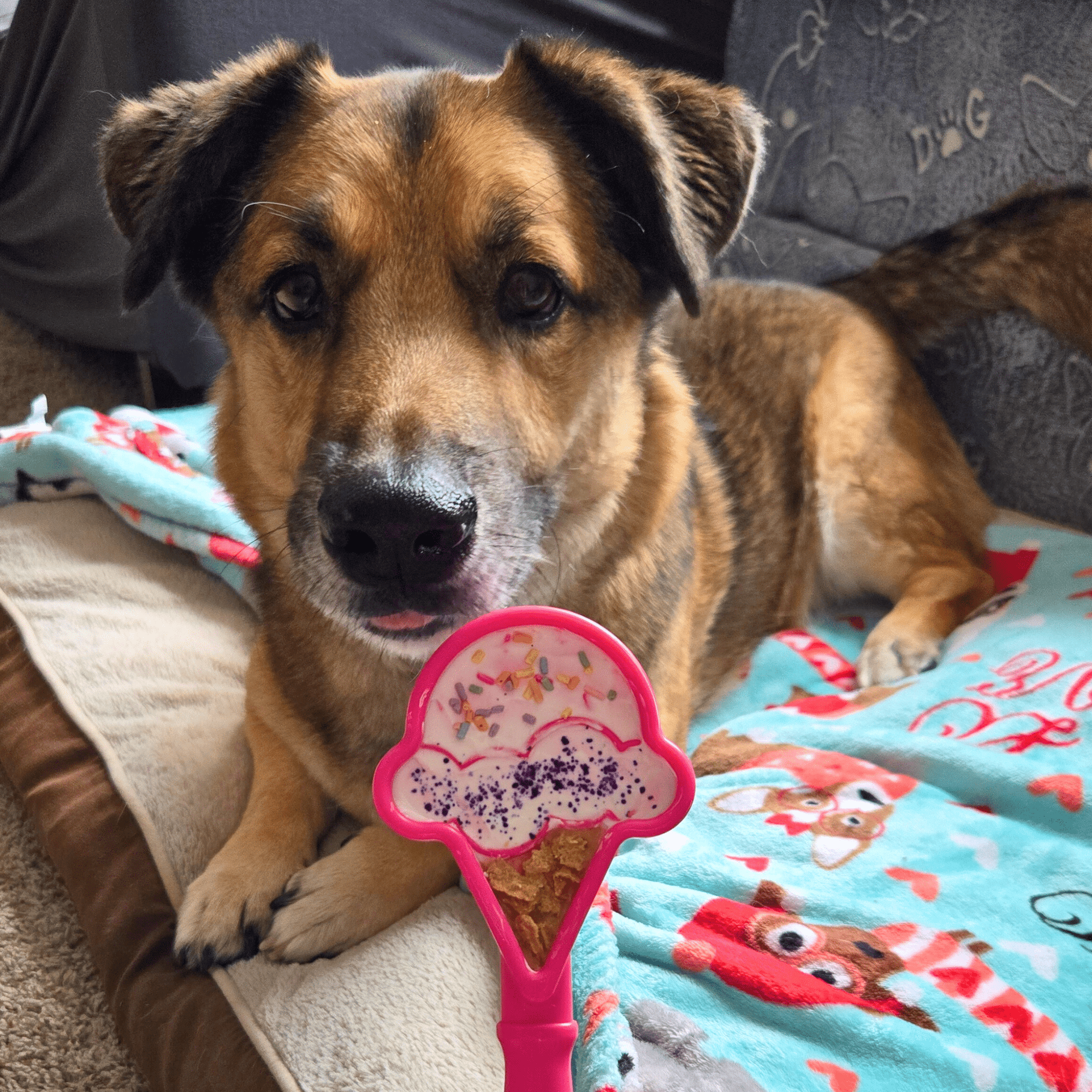 Farm To Pet Lick Sticks Interactive Dog Training Toy