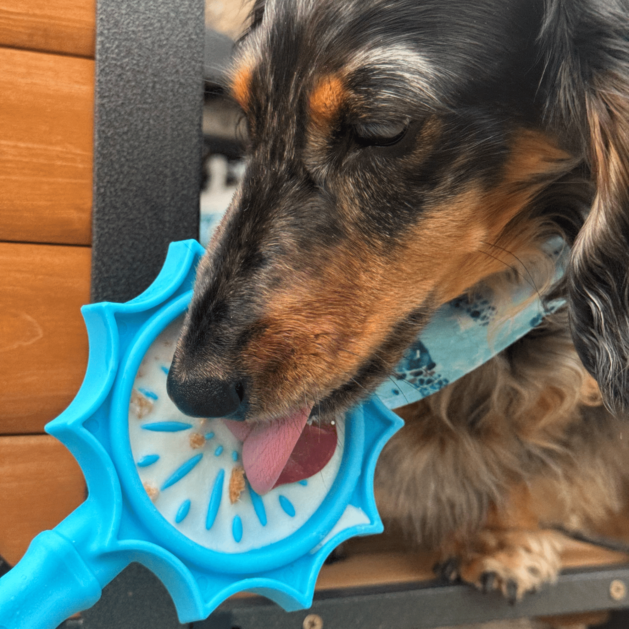 Farm To Pet Lick Sticks Interactive Dog Training Toy