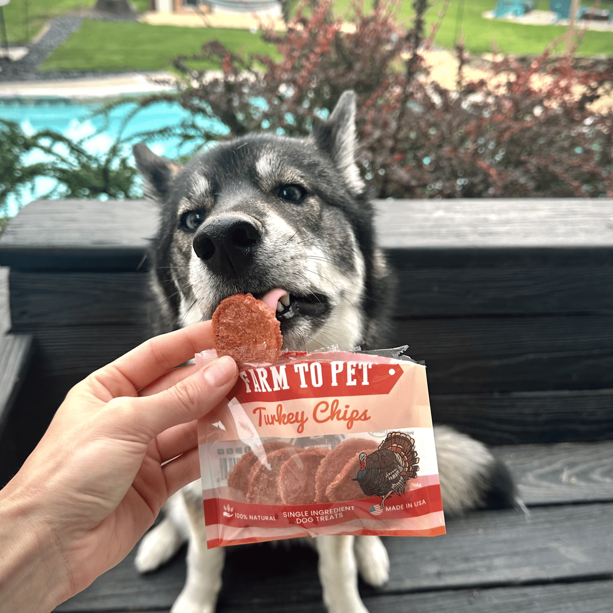 Farm To Pet Turkey Chips Dog Treat Snack Pack