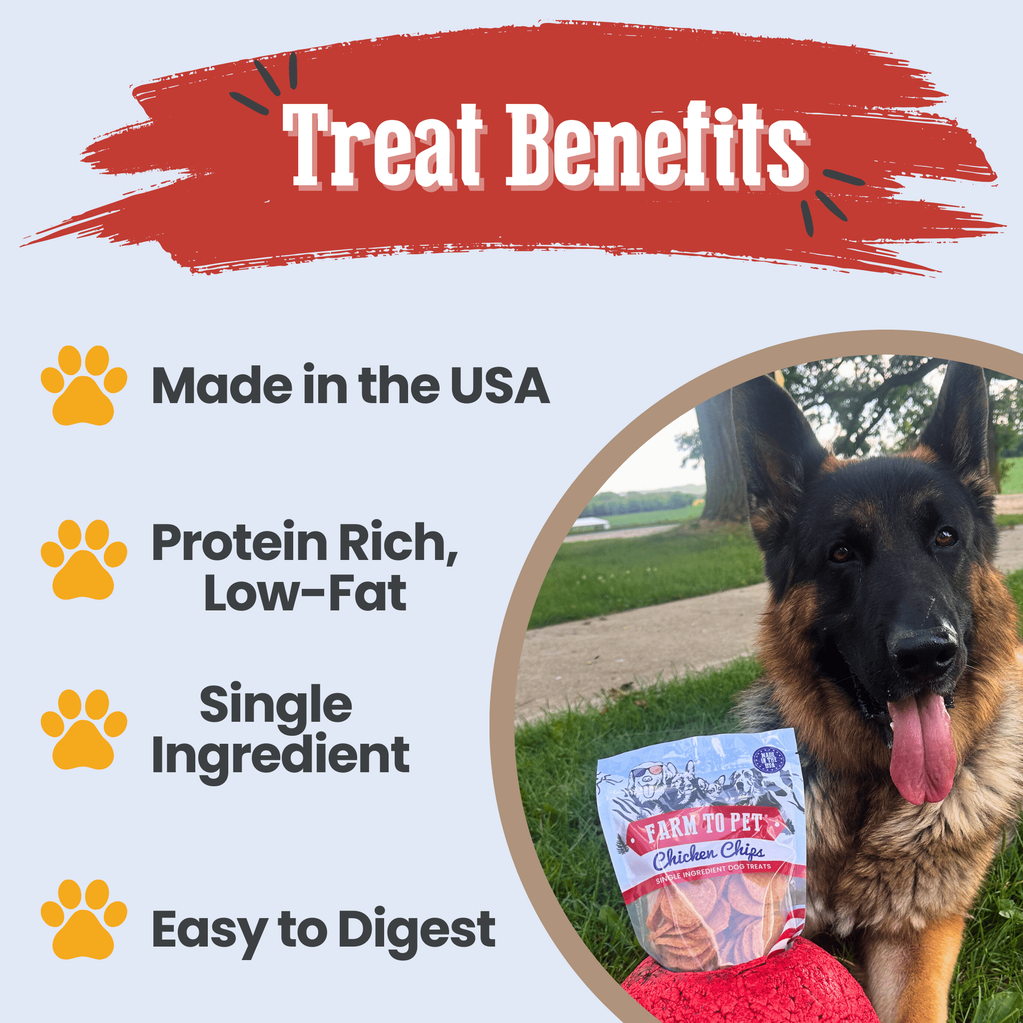 Farm To Pet Americana Chicken Chips Dog Treats