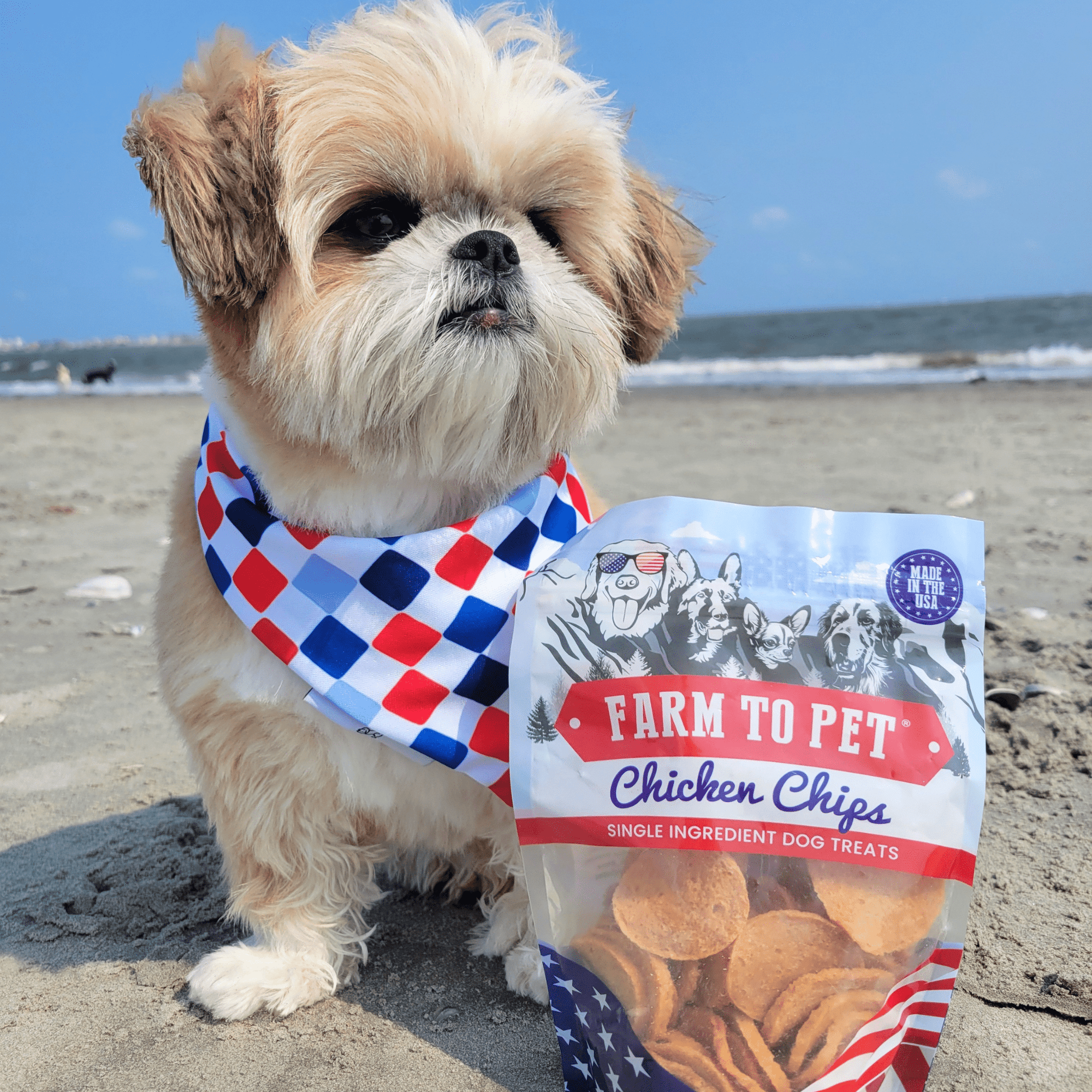 Farm To Pet Americana Chicken Chips Dog Treats