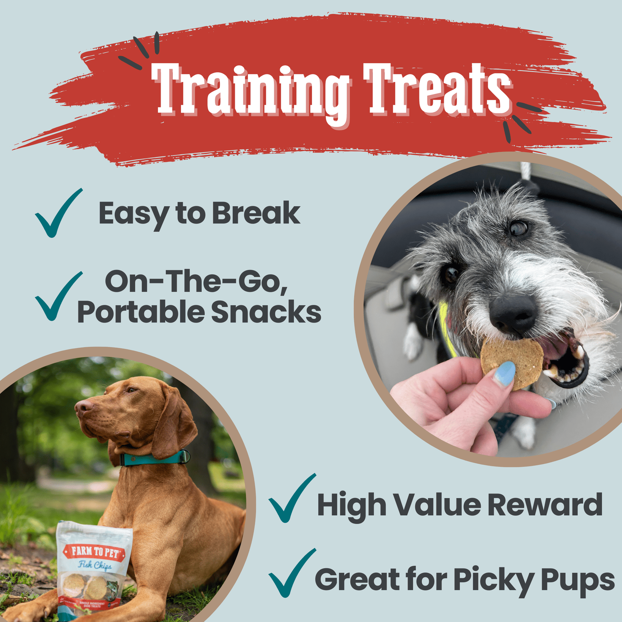 Farm To Pet Fish Chips Dog Treats