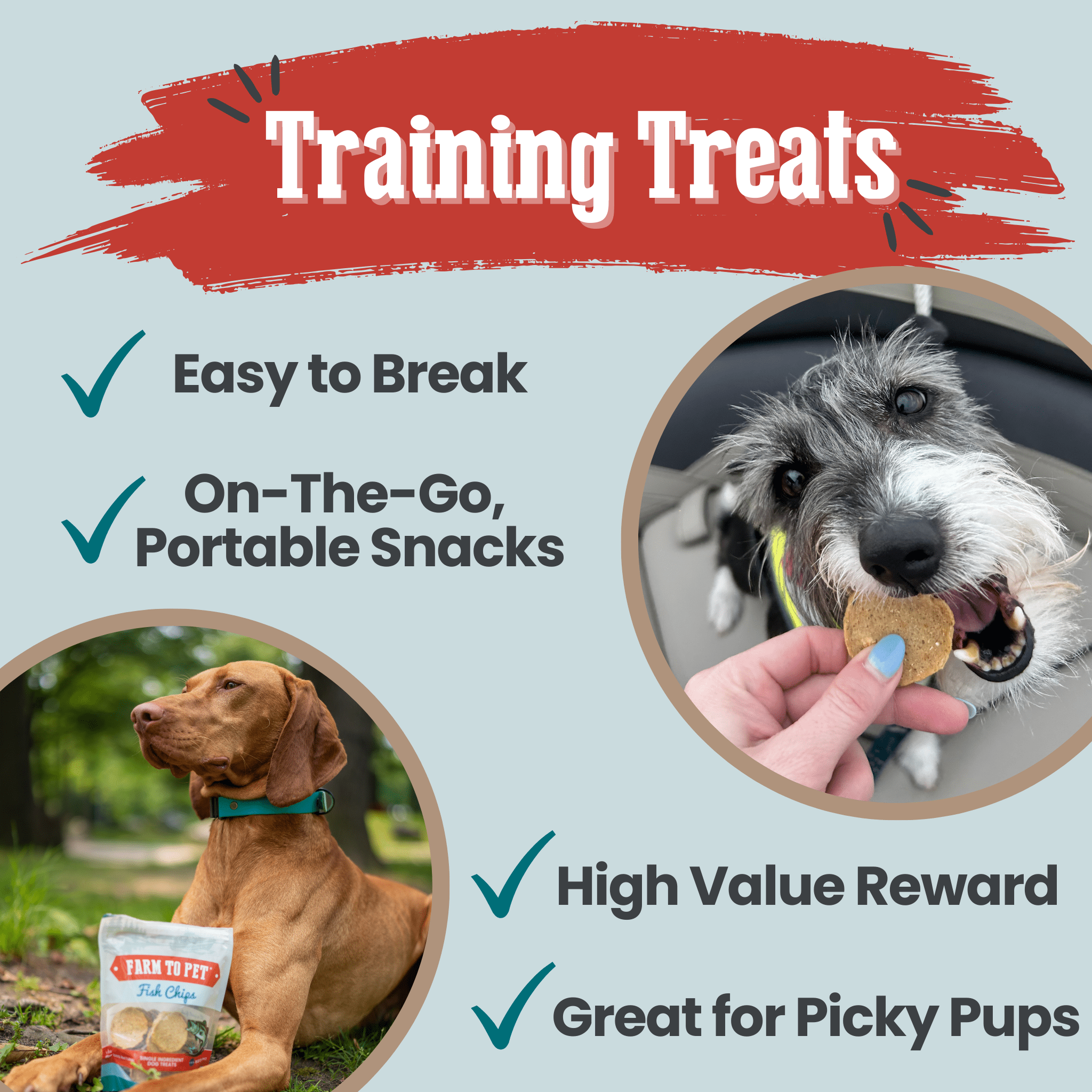 Farm To Pet Fish Chips Dog Treats