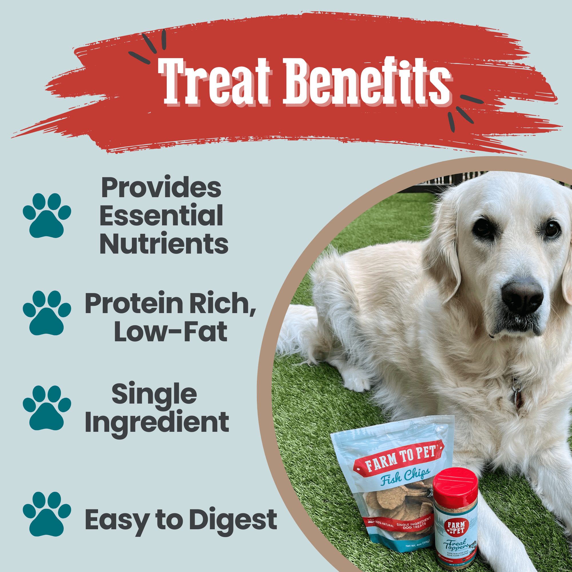 Farm To Pet Fish Chips Dog Treats