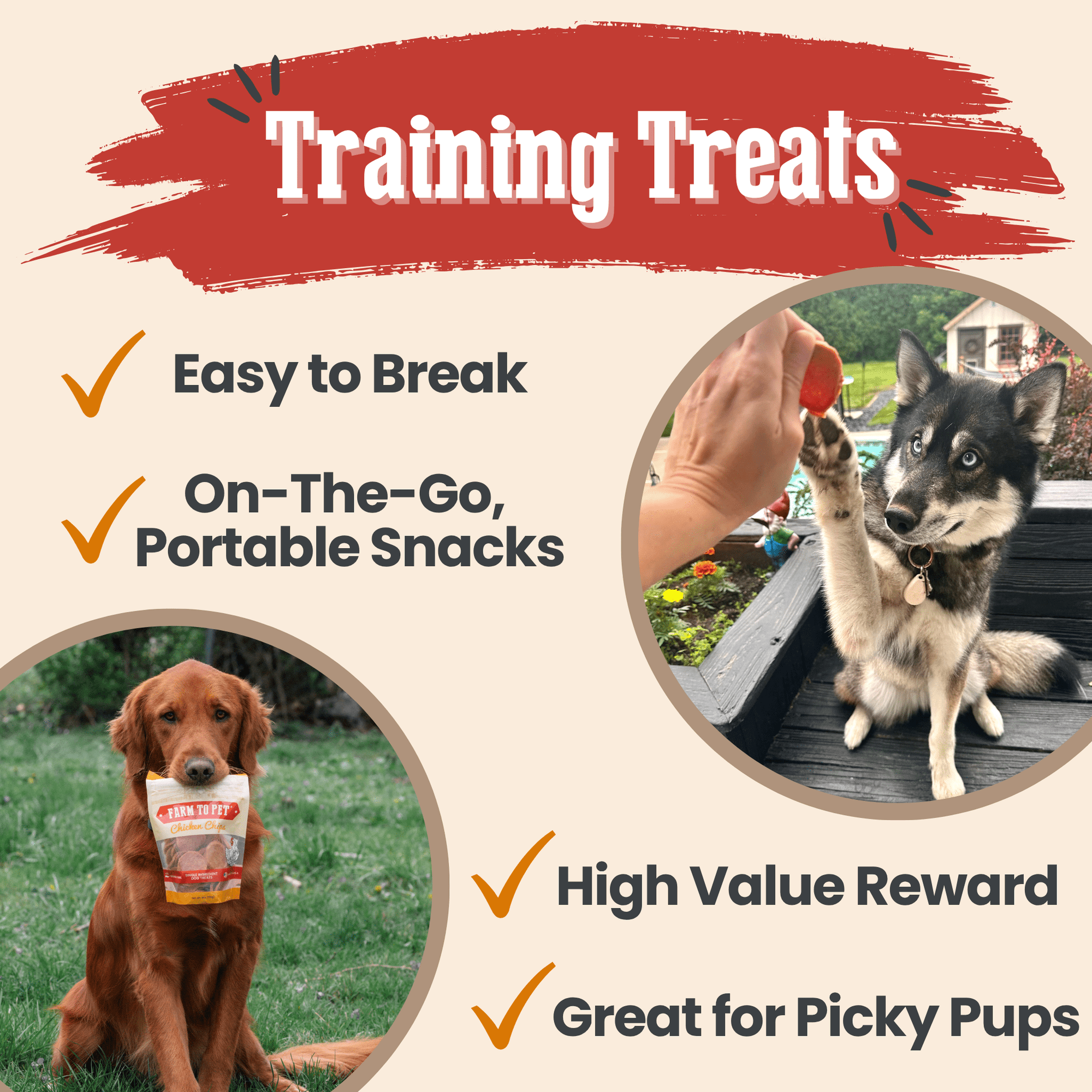 Farm To Pet Turkey and Chicken Chip Dog Treat Duo