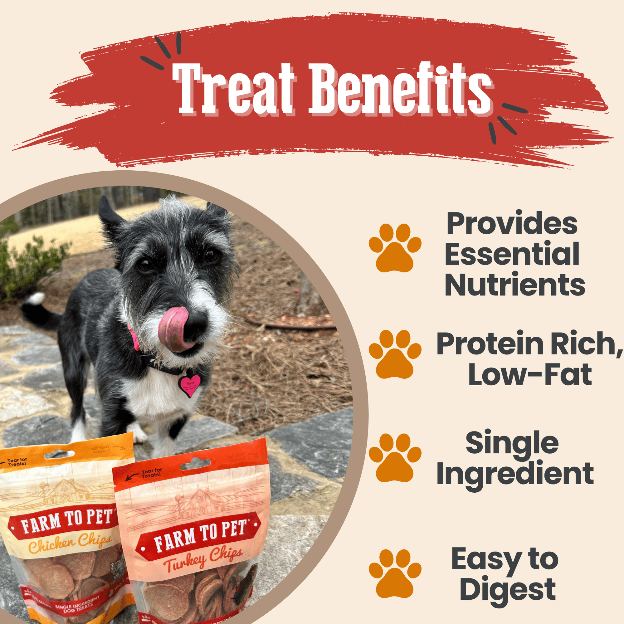 Farm To Pet Turkey and Chicken Chip Dog Treat Duo