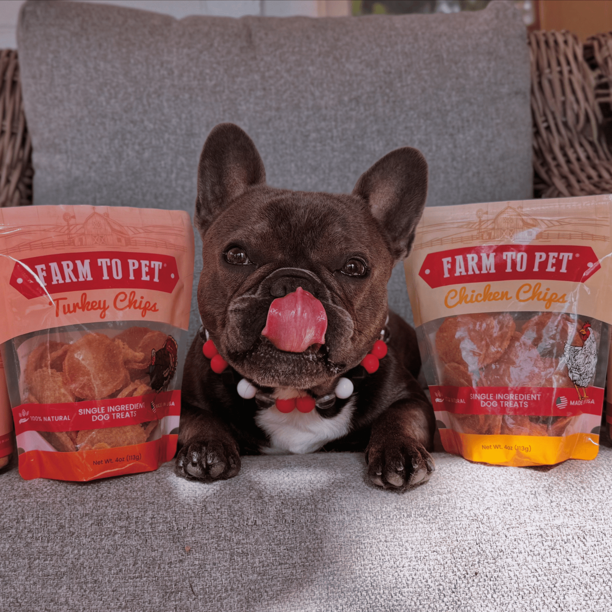 Farm To Pet Turkey and Chicken Chip Dog Treat Duo