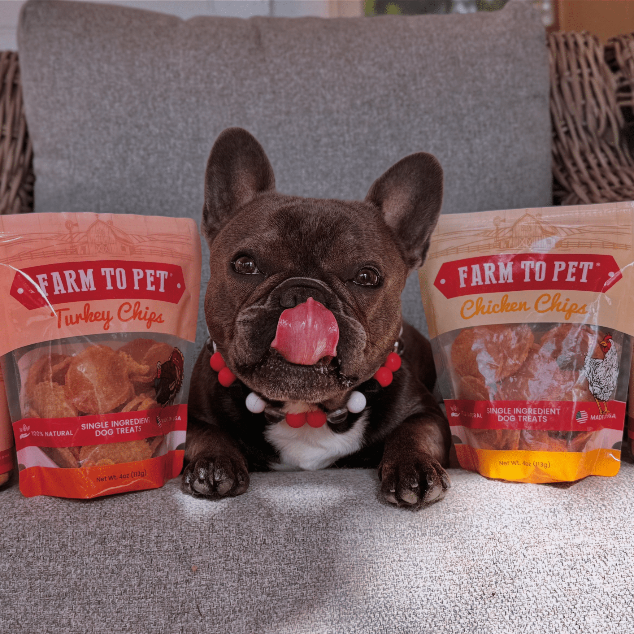 Farm To Pet Turkey and Chicken Chip Dog Treat Duo