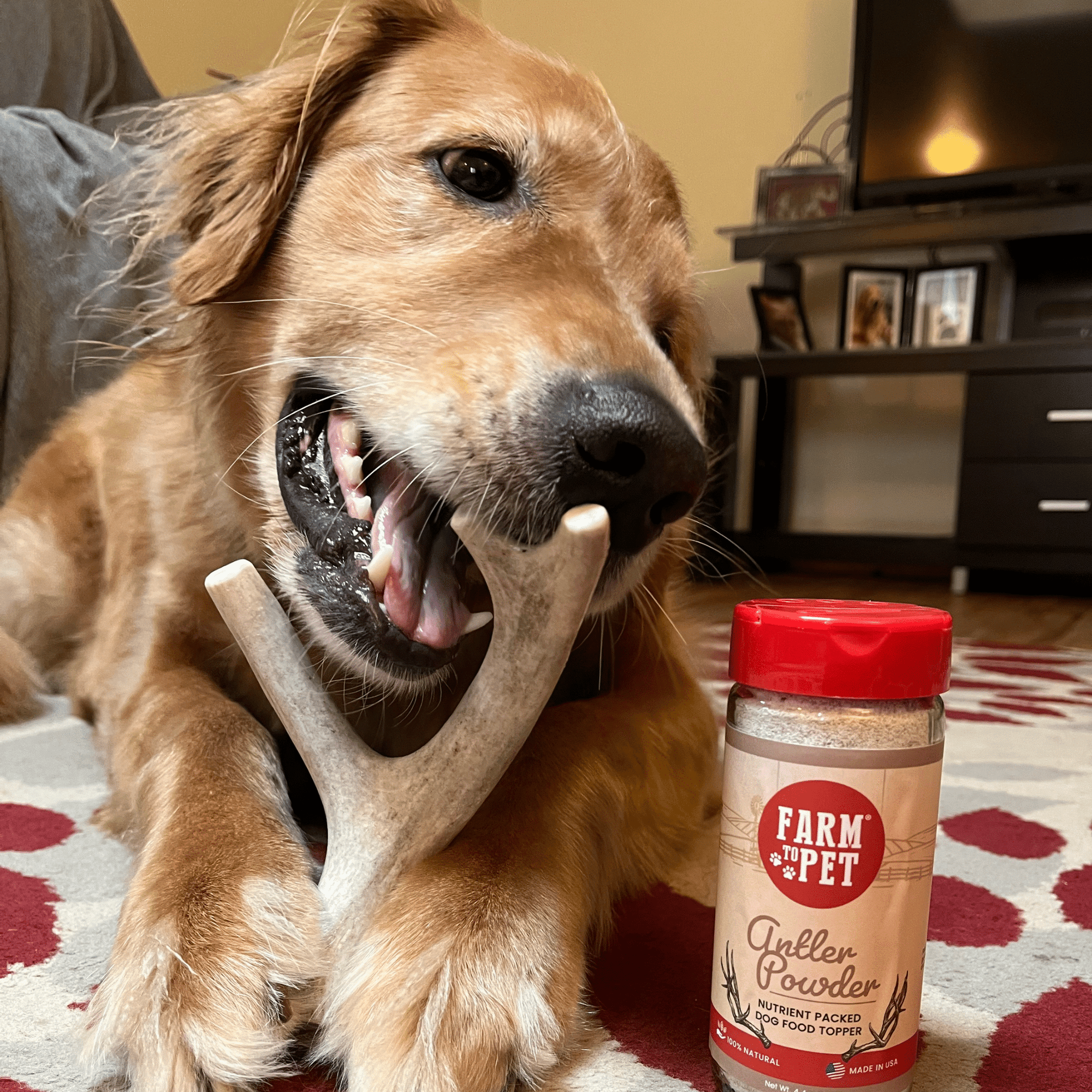 Farm To Pet Deer Antler Dog Chews
