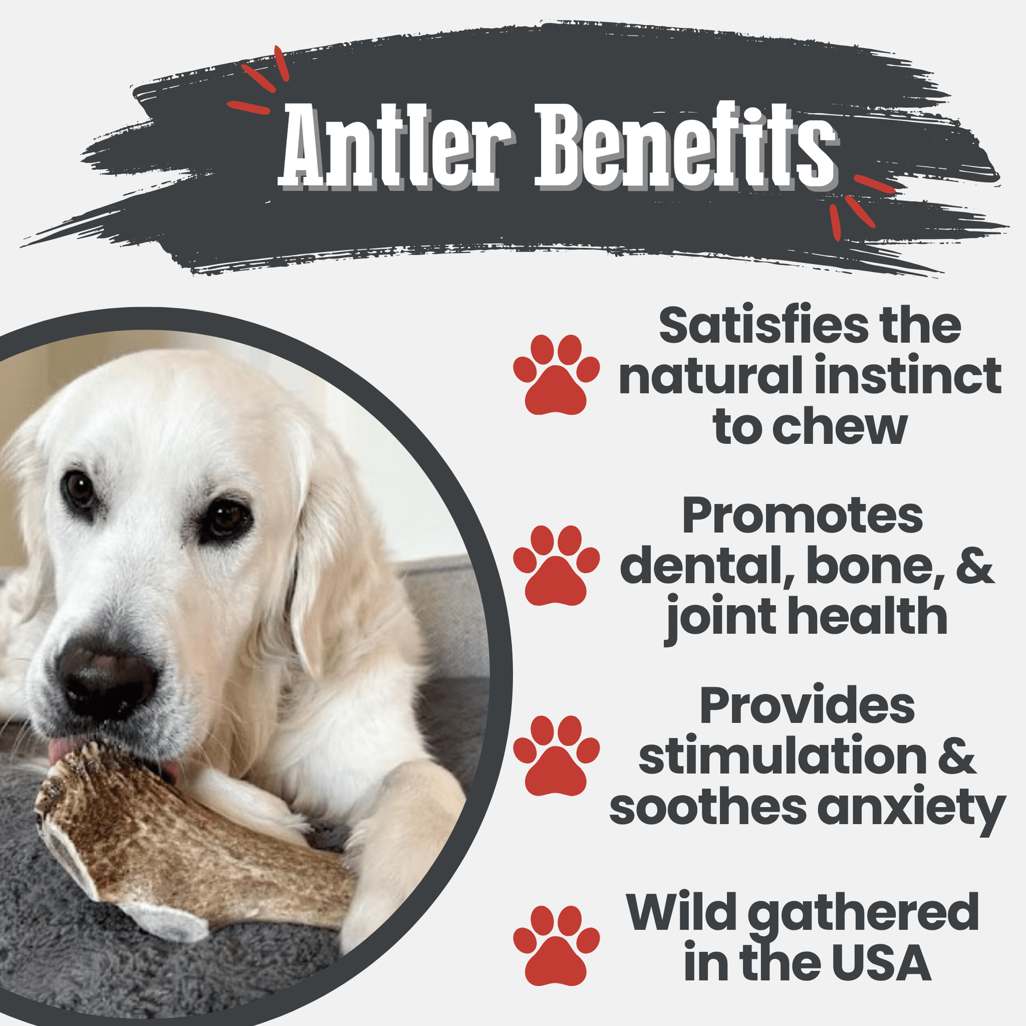 Farm To Pet Elk Antler Dog Chews